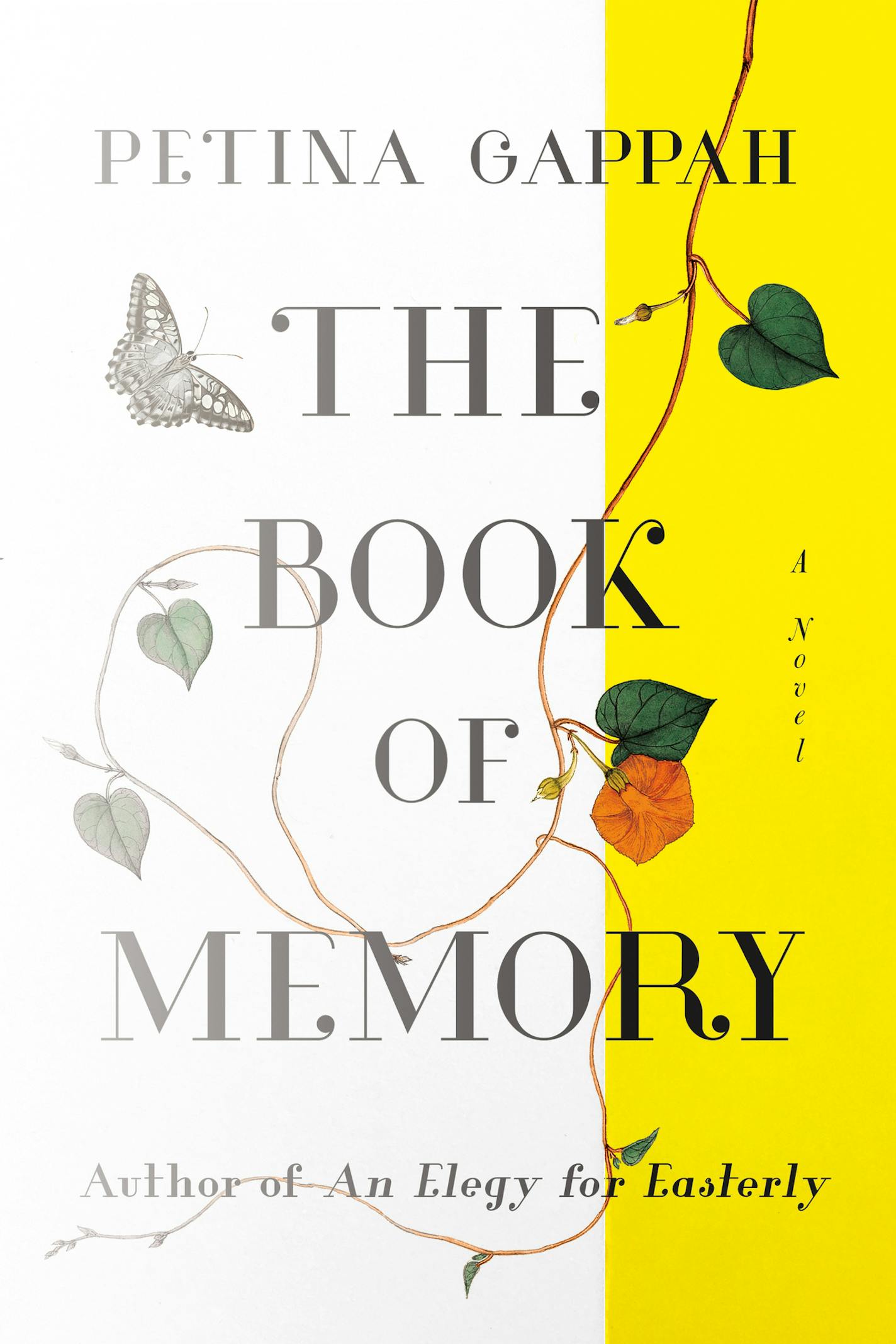 "The Book of Memory," by Petina Gappah