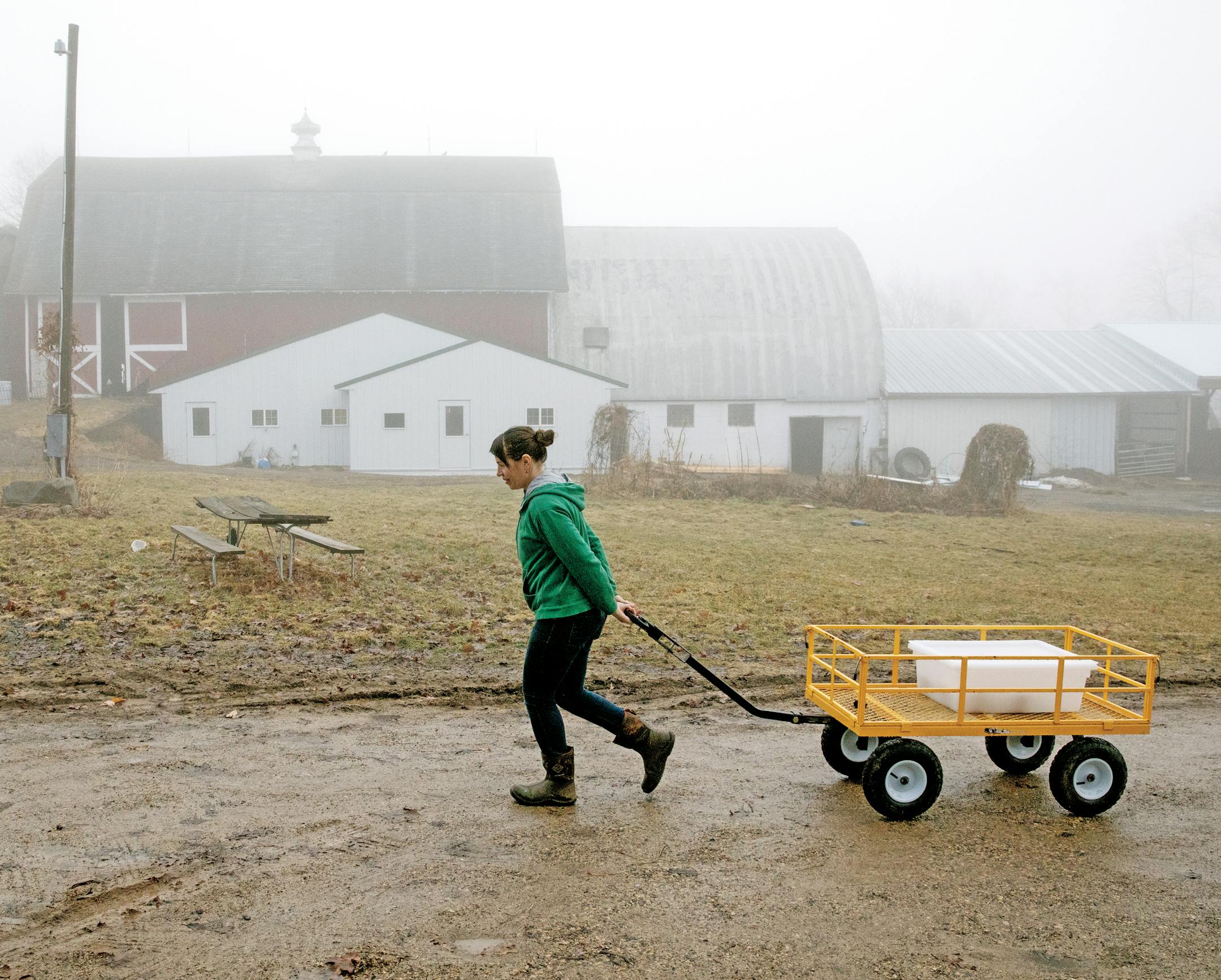 Rama Hoffpauir hauls a load of cheese to the cutting room for packaging.
