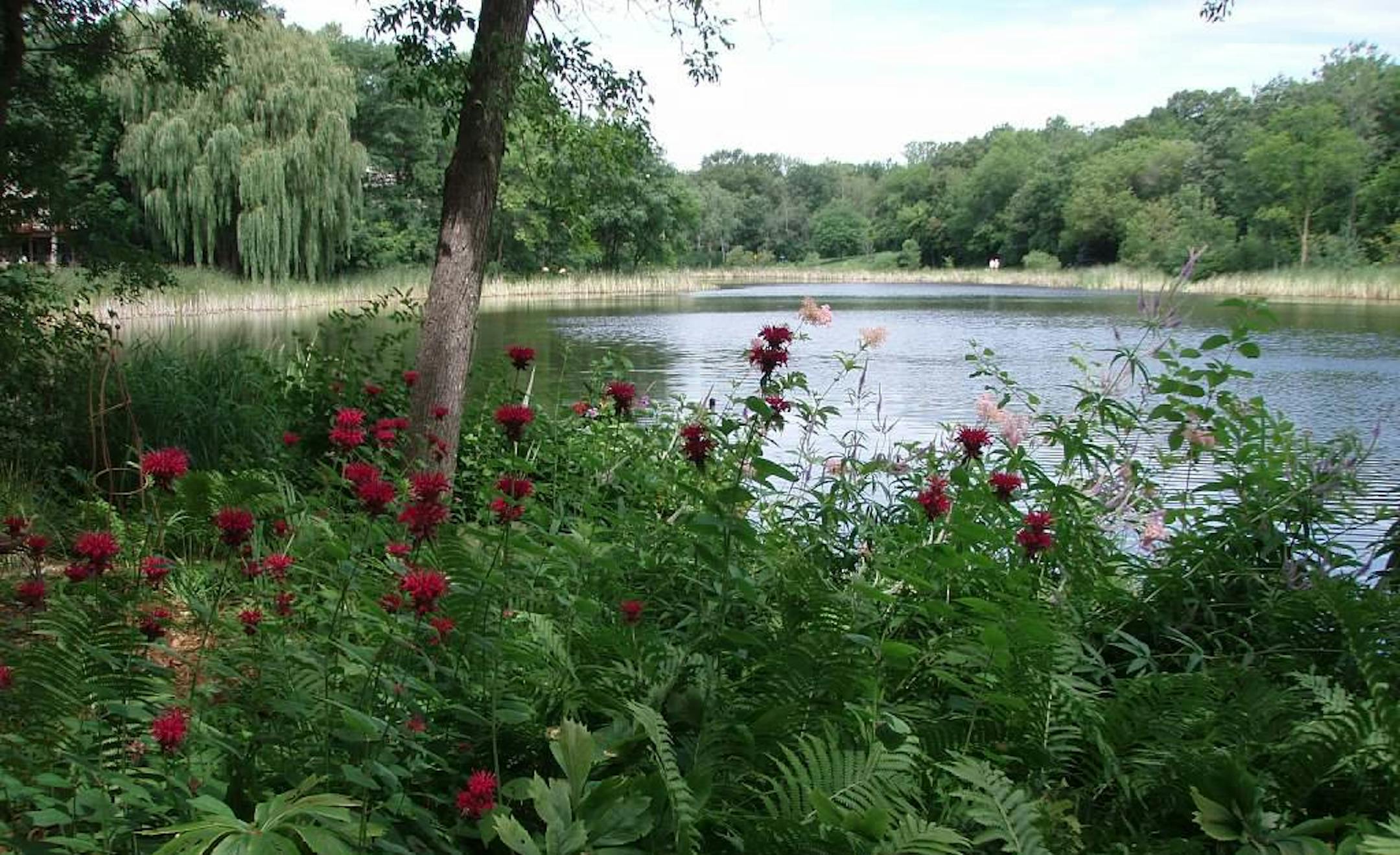 Deb Revier's garden, Extension Maste Gardener Learning Garden Tour