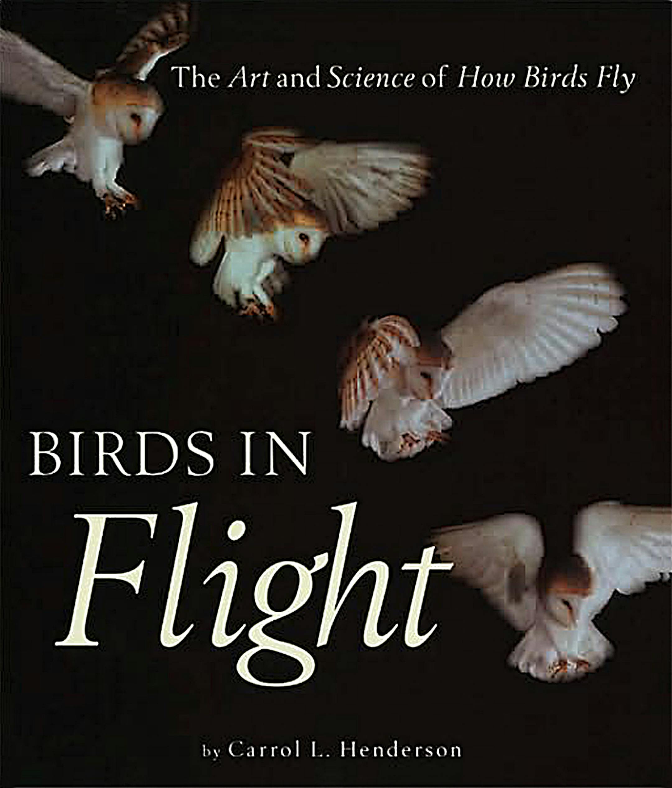 Birds in Flight by Carrol L. Henderson