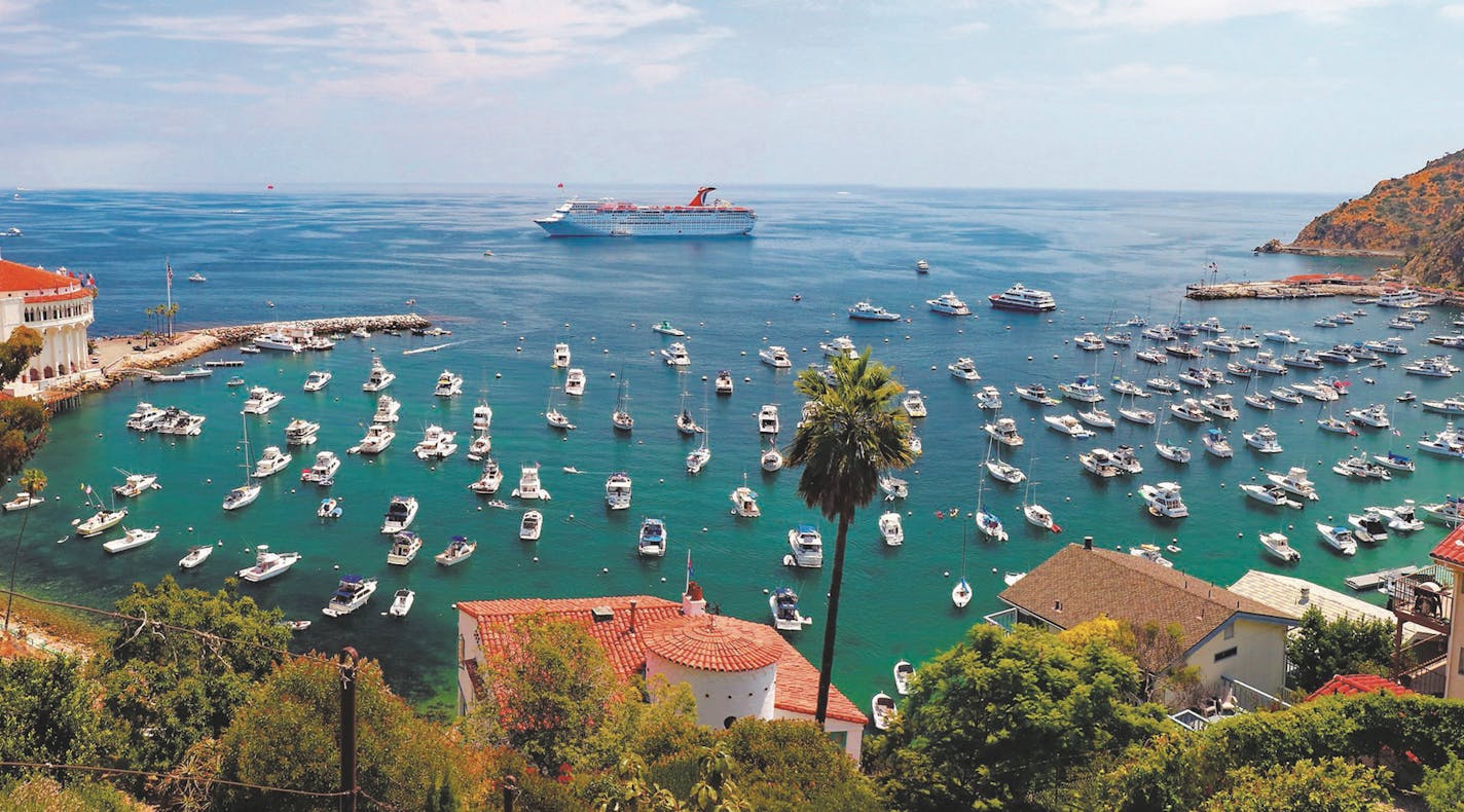 Summer days find lots of boats moored in Avalon's harbor. (Doug Hansen/San Diego Union-Tribune/TNS)