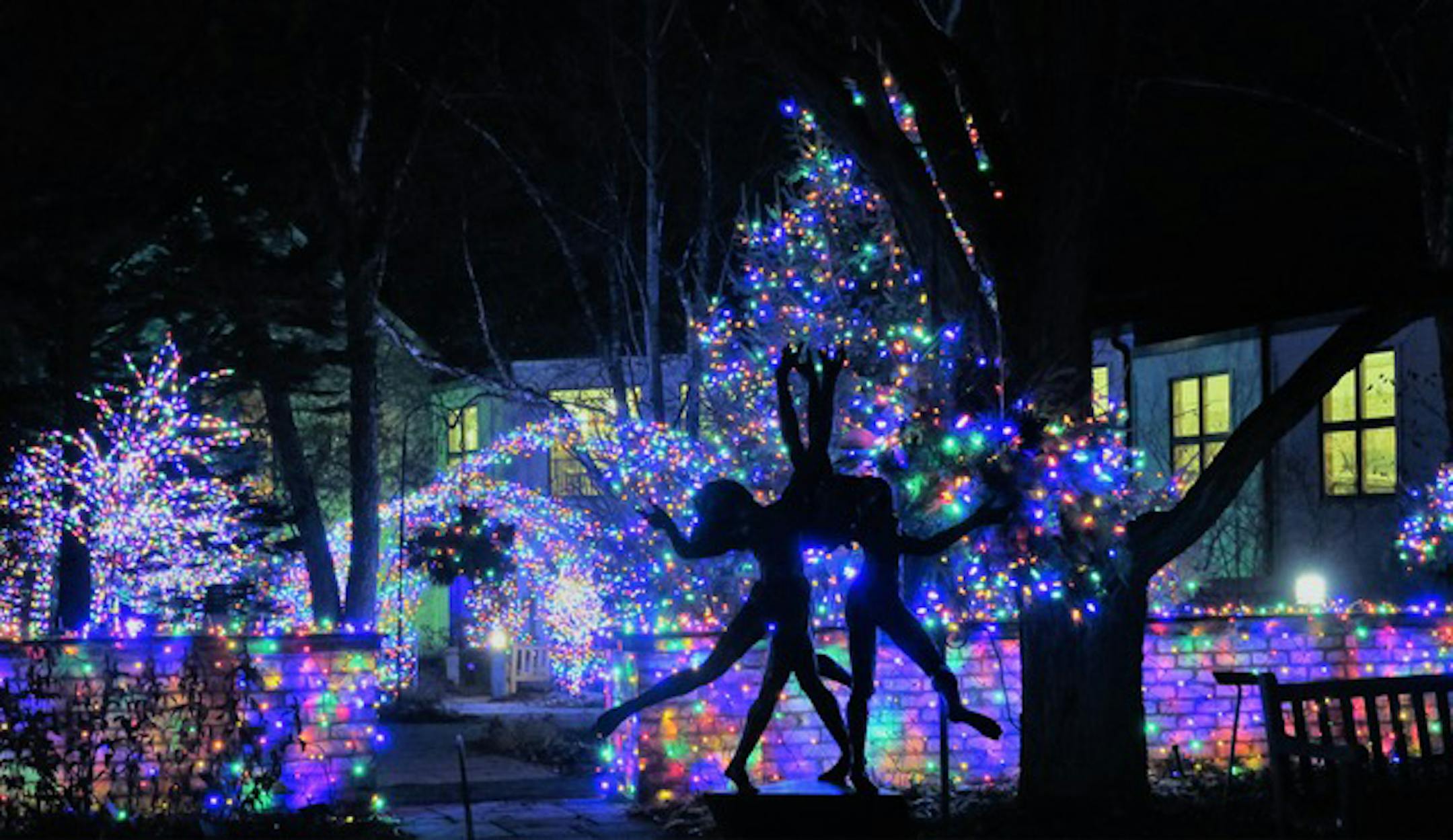Winter Lights at the Arb.