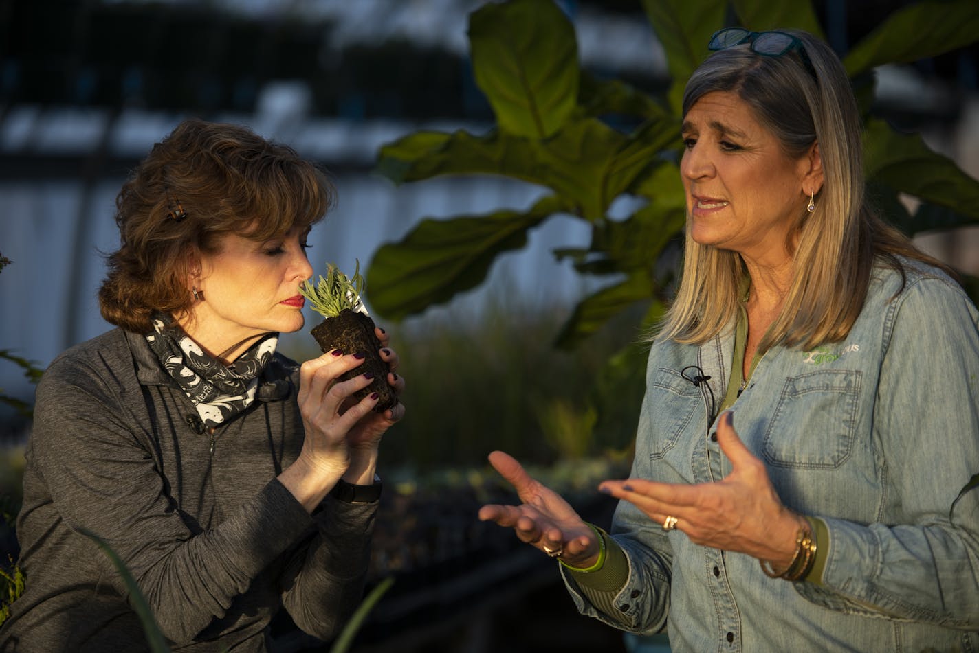 "What's Next" host Diana Pierce smelled rosemary as she produced a live show on location at Heidi's GrowHaus alongside Heidi Heiland.