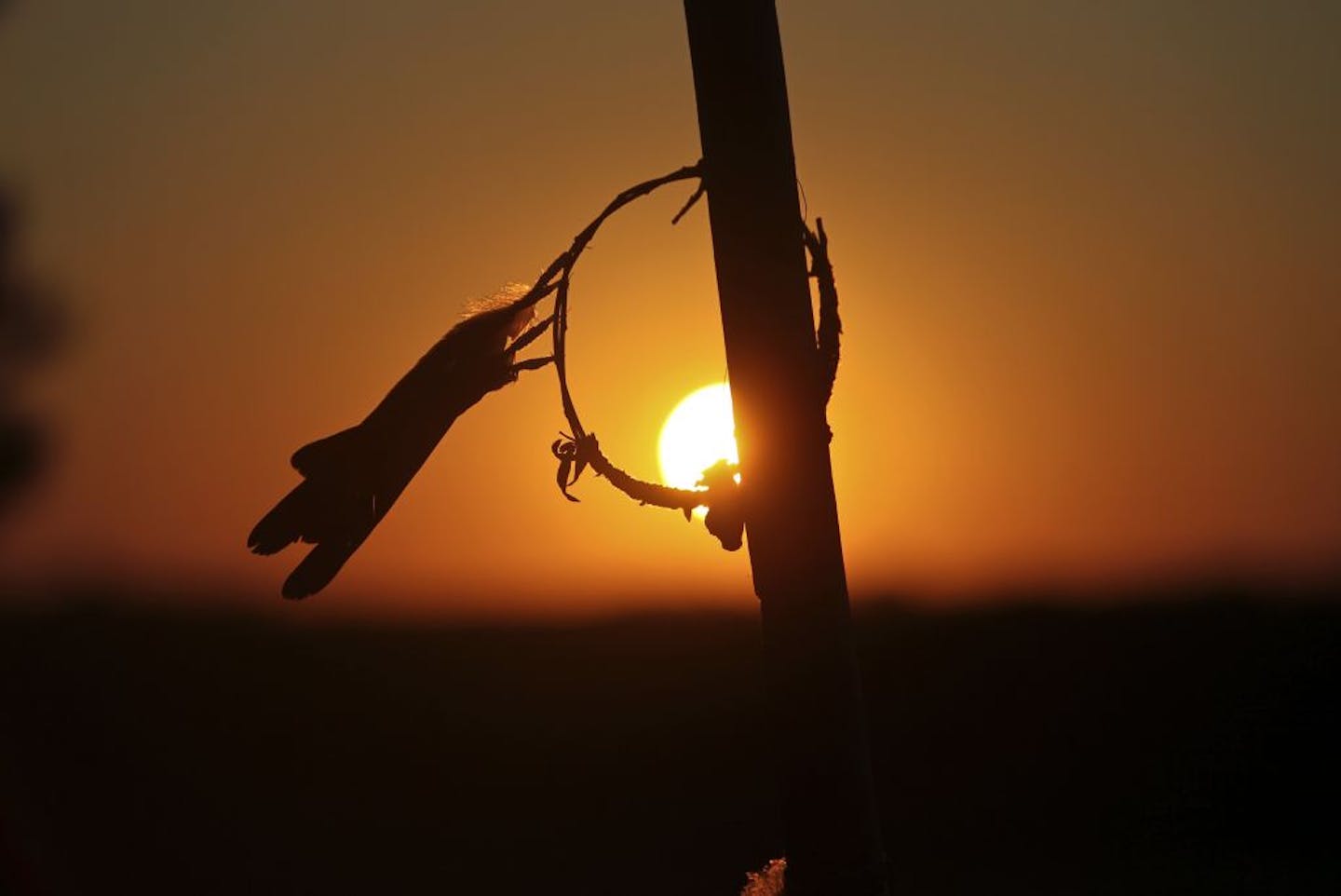 The sun sets over Little Crow's grave in First Presbyterian cemetery north of Flandrau, where a dream catcher adorns a 12-foot-high stake behind the tombstone on July 9, 2012. On a crisp September day in 1971, Little Crow's remains were brought in a copper box to a small cemetery north of Flandrau, S.D., overlooking the Big Sioux River valley, for burial. The tombstone that marks his grave has three dates on it: his birth year, estimated as 1818; the July 3, 1863 day of his death in Hutchinson a