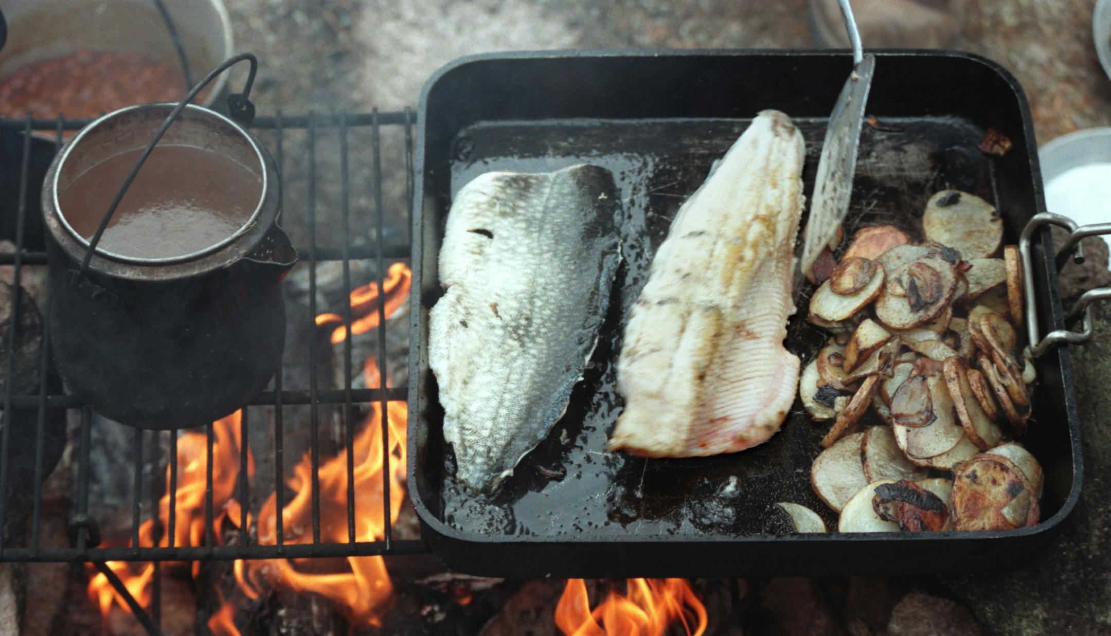 Fresh-from-the-lake walleye and trout cook over an open fire. ORG XMIT: MIN2013070909232411