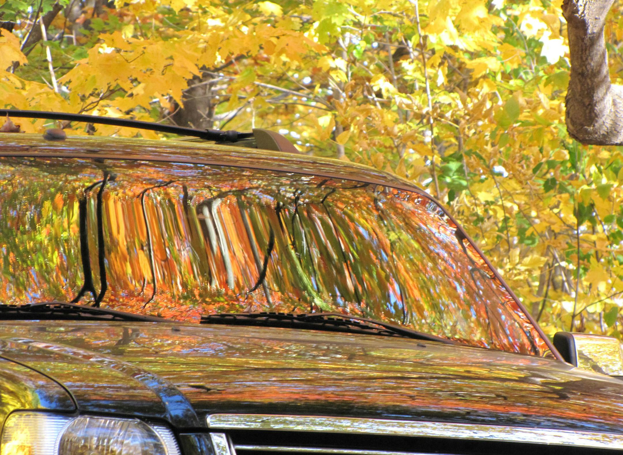 "Fall Colors Reflected on Car," a photograph by Dianne Jandt