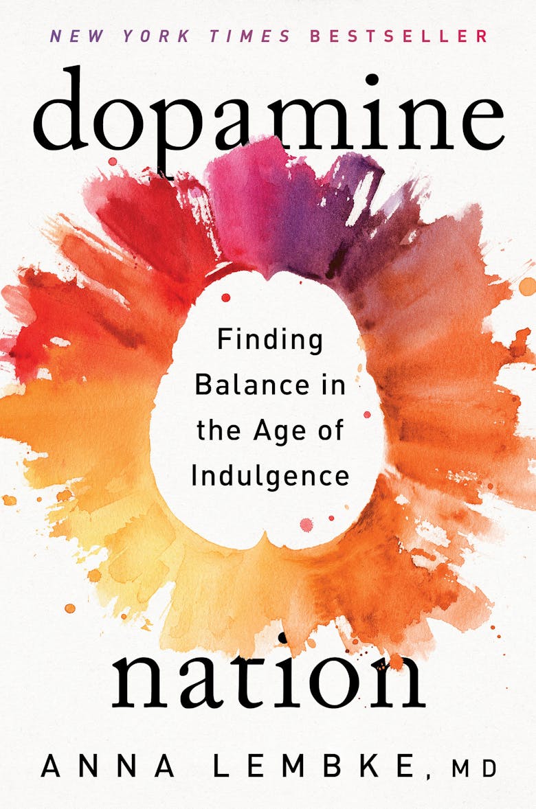 Dopamine Nation book jacket