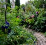 A discovered brick path by the carriage house cuts through the four square color garden at Shari Wilsey&#xd5;s St. Paul home. ] COURTNEY PEDROZA &#xa5