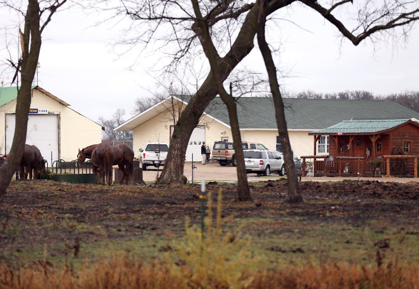 Police are searching a horse farm near Herman in the continuing efforts to find Gianna and Samantha Rucki, who went missing in April 2013. Wednesday November 18, 2015 in Herman, MN.