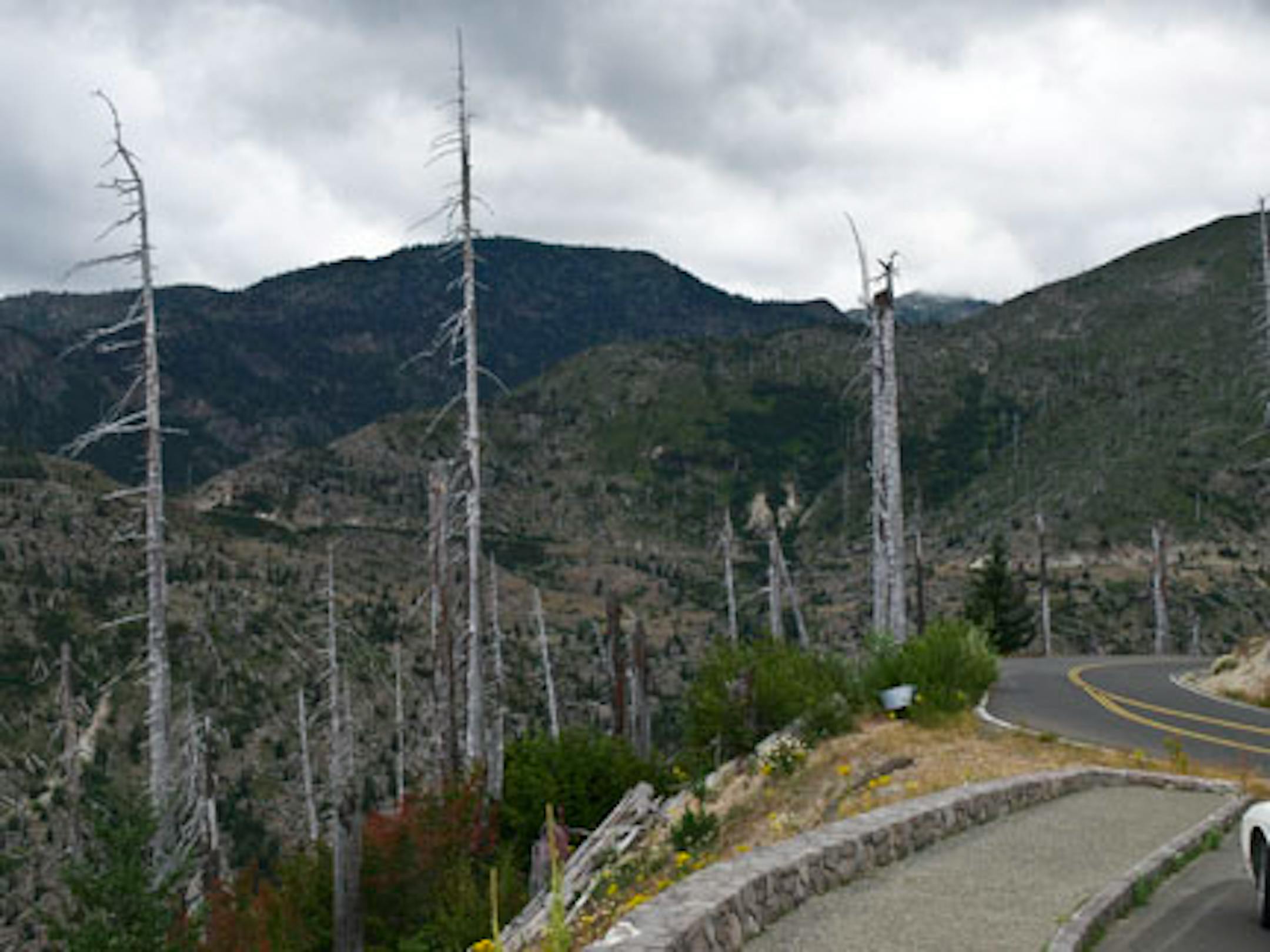 Mount St. Helens erupted in 1980 and some of the ash reached the eastern states three days later