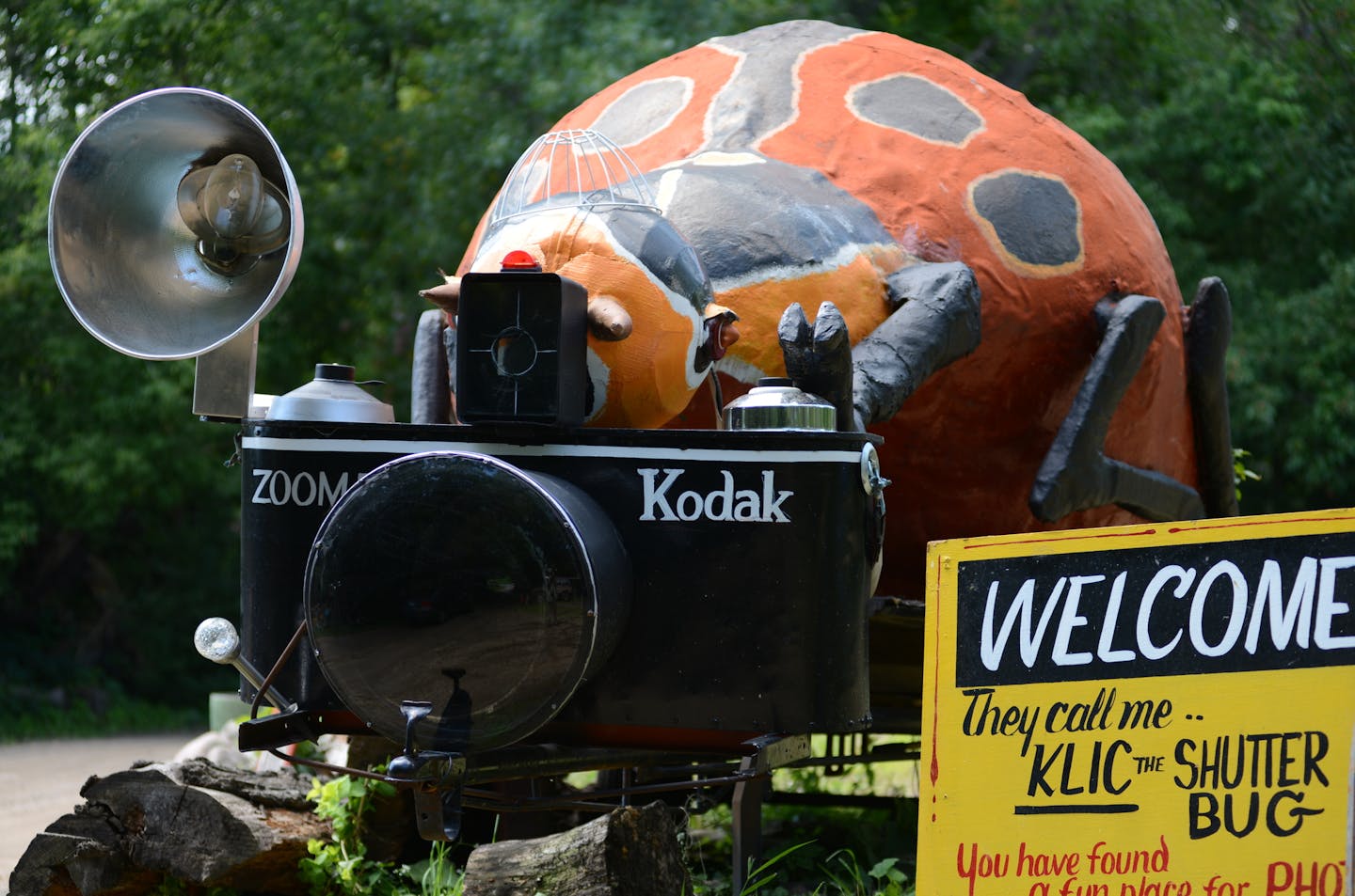 Hot Sam's is an antique junk yard, or antique theme park, that sits along I-35 in Lakeville with many oddities covering 10 acres, like a huge submarine, shark, a car transformed into an orange Nemo with a table and benches inside, a Popeye and Olive in a car, a flying saucer over a pond, a huge Caribou Coffee cup, an original Hank's Hardware face that used to sit in Bloomington, a WWII vintage command car, etc. This huge" Shutter Bug" greets visitors at the gateway to Hot Sam'sRichard.Sennott@st