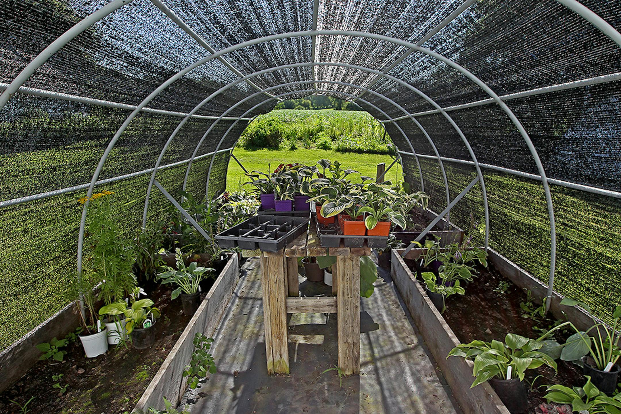 Kathy and Mike Pedersen's garden in Shakopee.