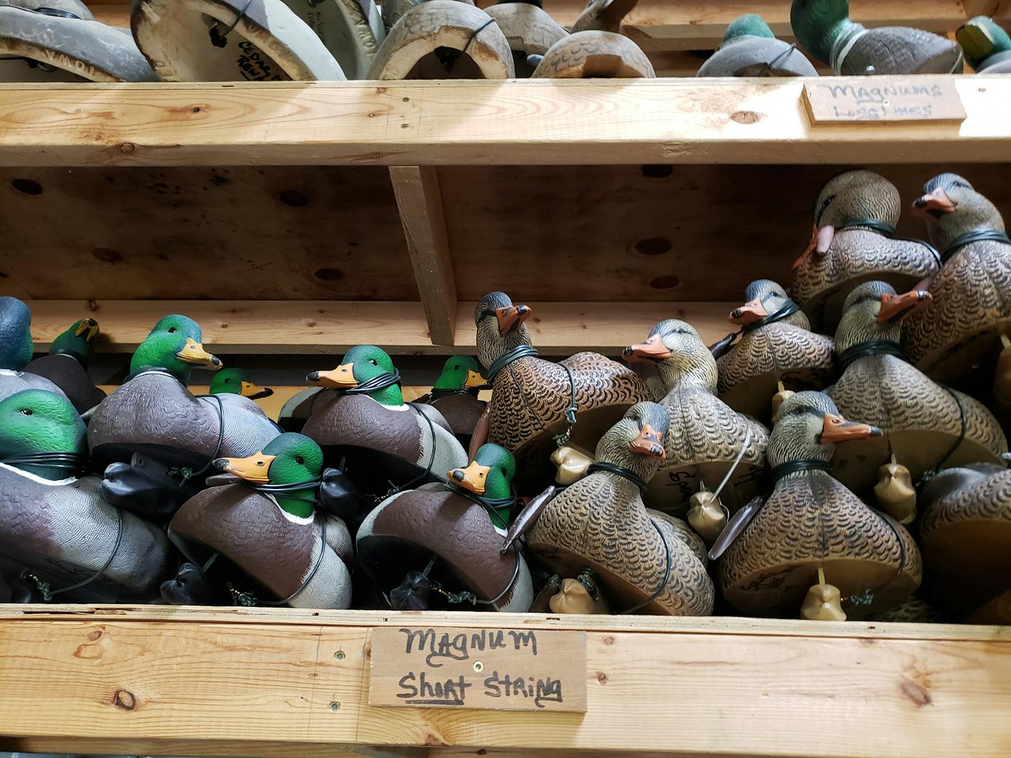 Duck decoys are organized by species and string length.