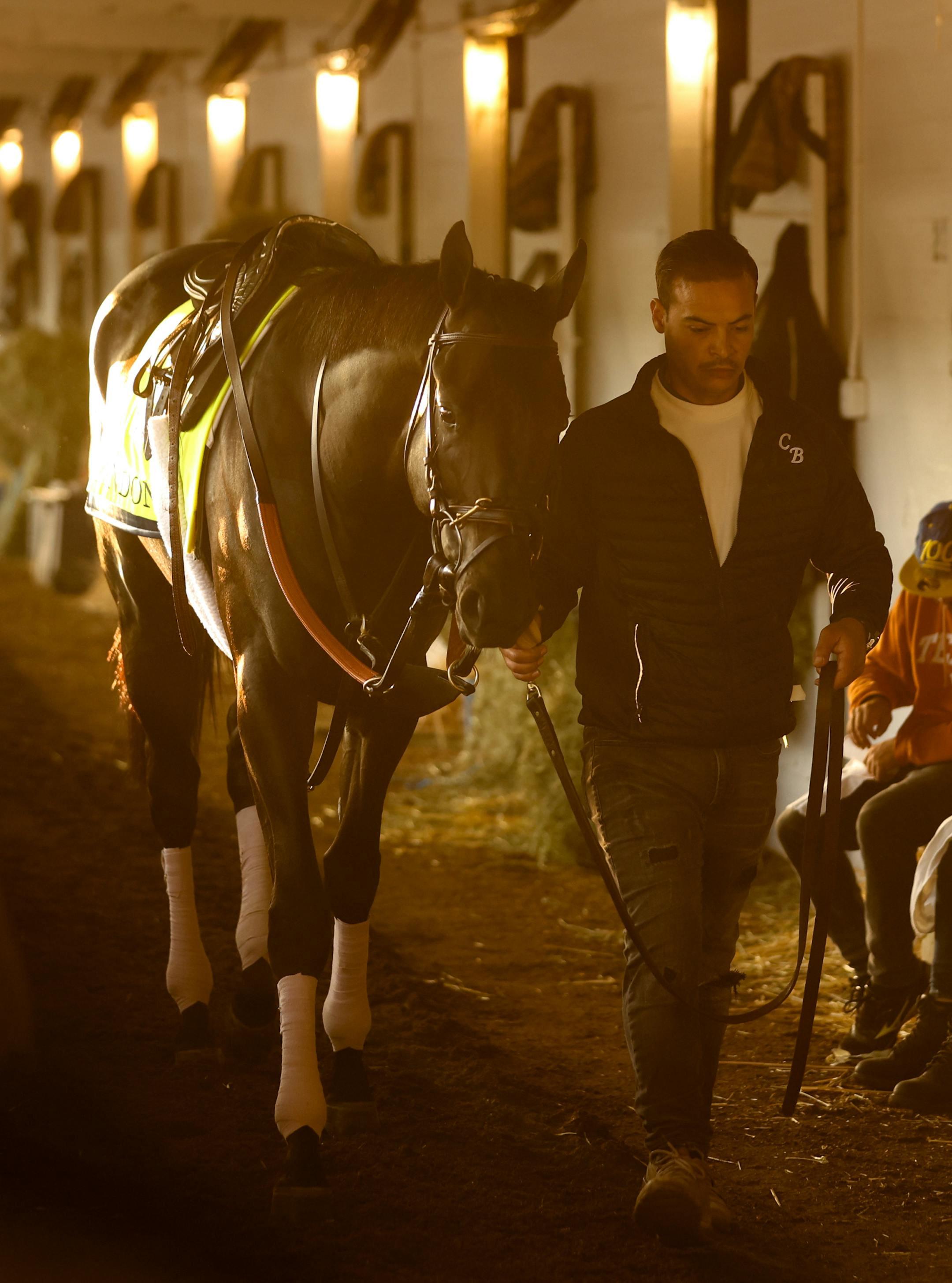 Zandon walks the shed row with his hot walker at Churchill Downs.