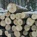 The Minnesota Department of Natural Resources has had $22 million in federal wildlife habitat grants put on hold for violating logging regulations.
