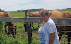 Ann Bowman, 75, said the Animal Humane Society is pushing her to retire after receiving a complaint about sick horses on her southern Minnesota farm.