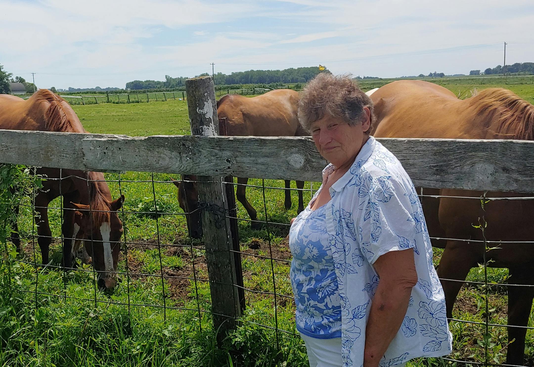 Ann Bowman, 75, said the Animal Humane Society is pushing her to retire after receiving a complaint about sick horses on her southern Minnesota farm.