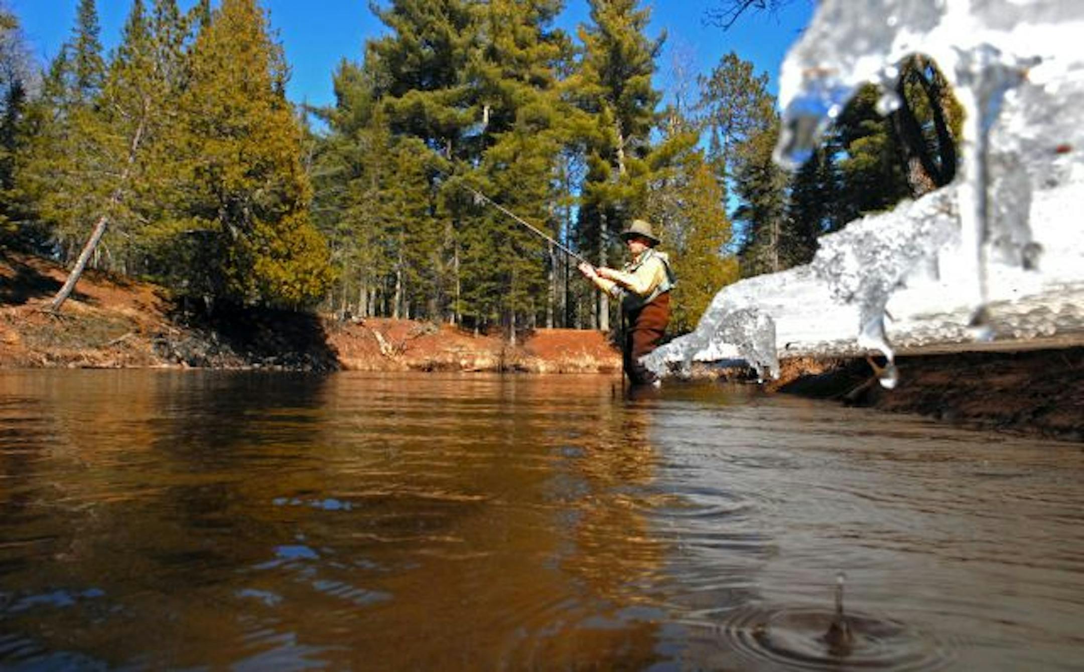 As winter ice melted along one side of Wisconsin's Brule River, Dave Zentner of Duluth worked a fly in the river's current, hoping on Wednesday afternoon to entice a steelhead to inhale his offering.