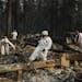 Search and rescue personnel search a home for human remains in the aftermath of the Camp fire, Friday, Nov. 16, 2018, in Paradise, Calif.