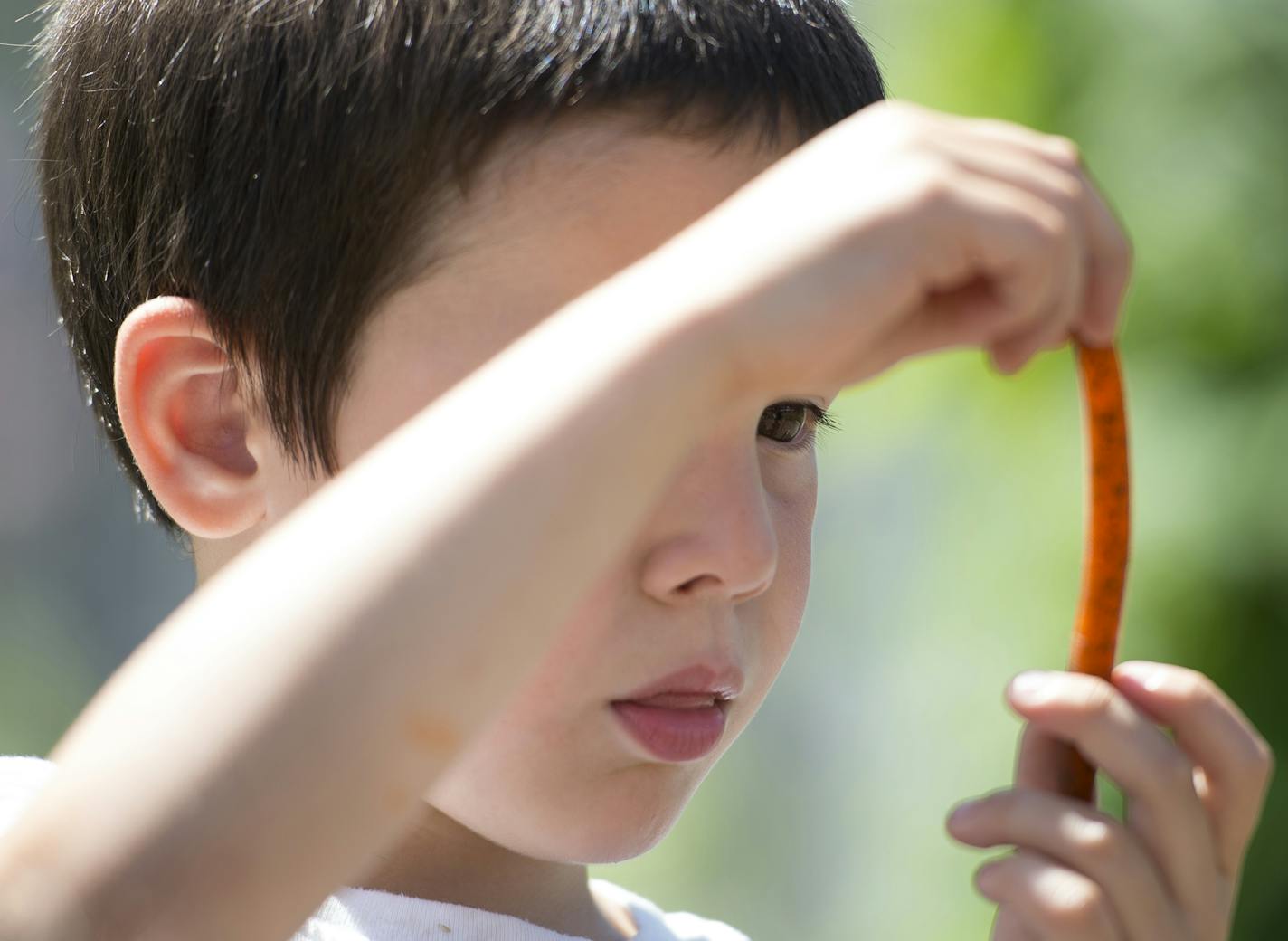 Hayden Blake, 4, played with a fake worm during a composting demonstration at Como Zoo's Edible Garden Friday. ] Aaron Lavinsky &#x2022; aaron.lavinsky@startribune.com The edible garden at the Como Zoo opened on Friday, June 12, 2015 in St. Paul.