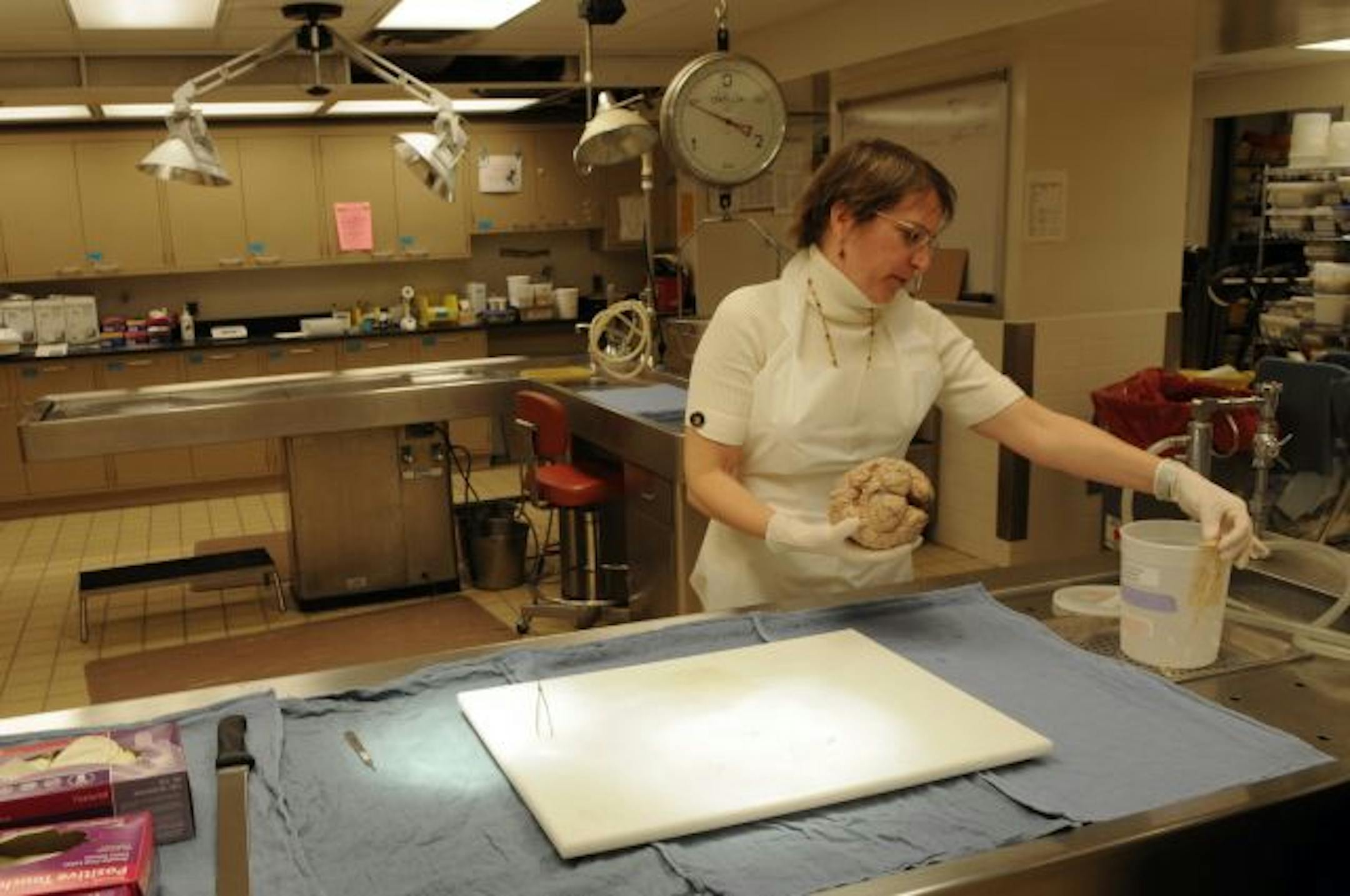 Dr. Karen SantaCruz, a University of Minnesota pathologist in charge of studying the brains left to science as part of the world-famous "Nun Study," held one of the 600 preserved brains. With the project, the brains and 439 boxes worth of archive material back from Kentucky, the university is readying a new study of new nuns.