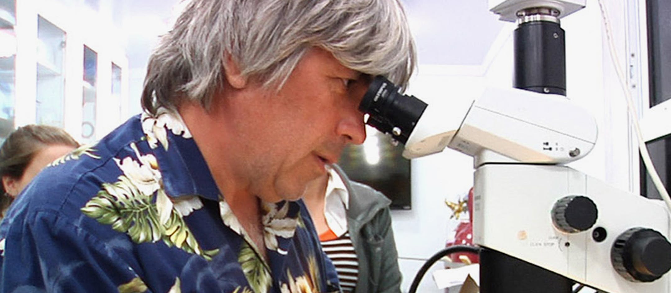 In this March 30, 2014, photo, University of Florida neurobiologist Leonid Moroz looks through a microscope to dissect nerve cells from a mysterious marine creature called a comb jelly, while on board a ship off the coast of Florida. Moroz is on a quest to decode the genomic blueprints of fragile marine life, like these comb jellies, in real time _ on board the ship where they were caught. (AP Photo/Suzette Laboy) ORG XMIT: WX505