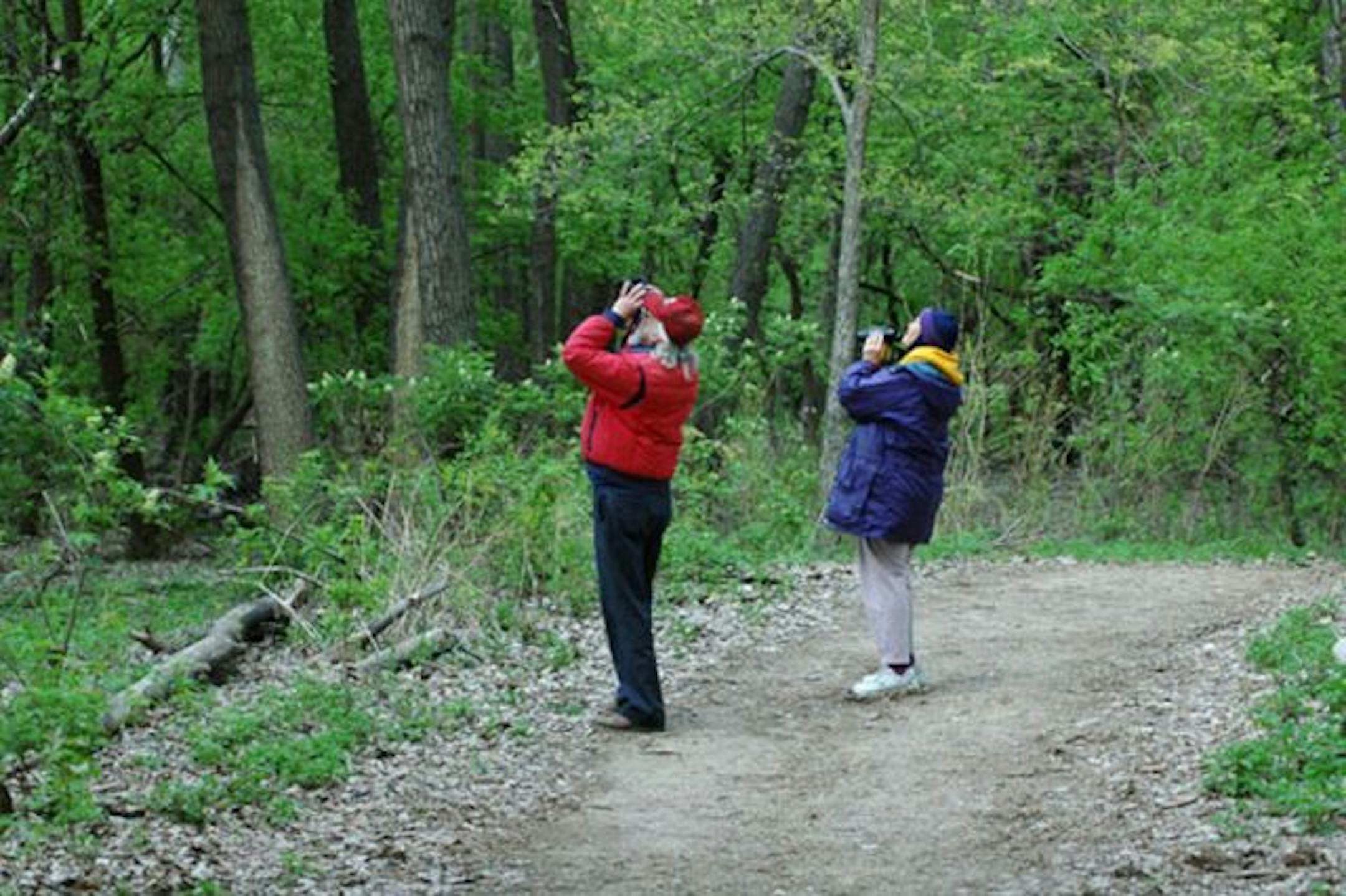 Pair of birders in the woods