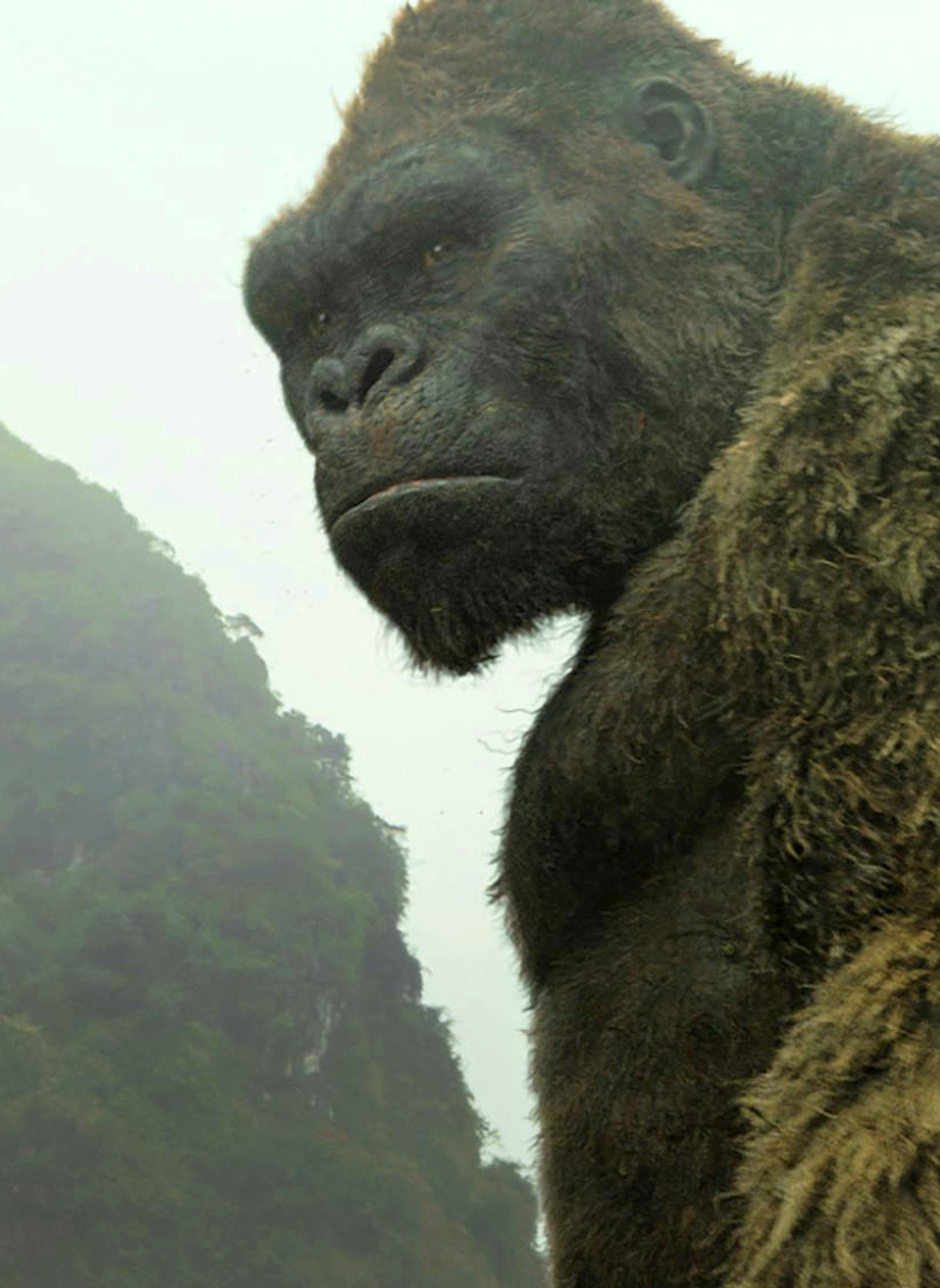 This image released by Warner Bros. Pictures shows a scene from, "Kong: Skull Island." A musical version of "King Kong" is hoping to make Broadway go bananas. Officials at Global Creatures, the Australian company behind the hit arena show "Walking With Dinosaurs," said Wednesday their version of the classic ape story will land in the fall of 2018 at the Broadway Theatre. (Warner Bros. Pictures via AP)