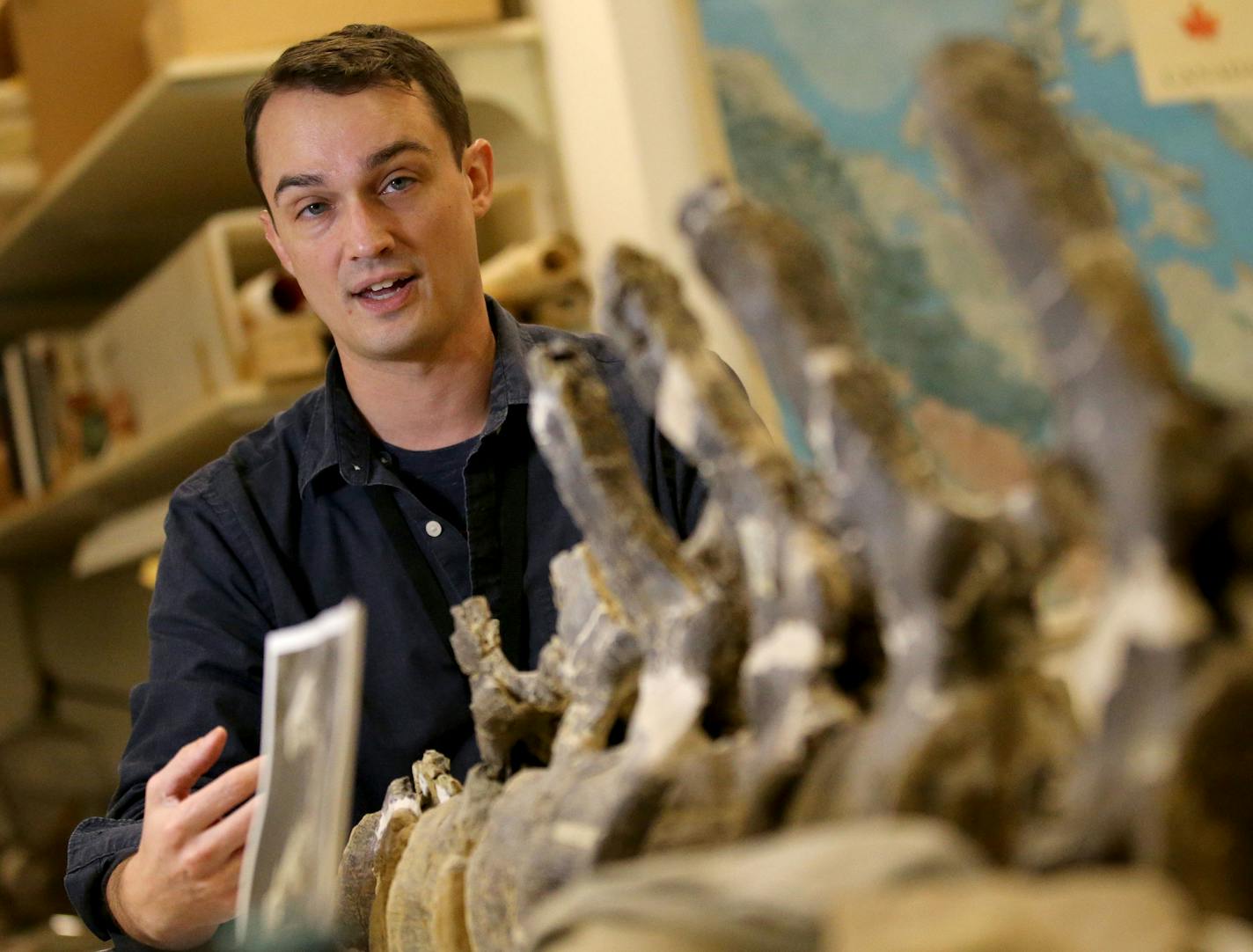 The Science Museum of Minnesota has a new boneman. Alex Hastings is recently started work as the museum's Fitzpatrick Chair of Paleontology. Here, Hastings talked about a Haplocanthosaurus skeletal fossil in the museum's bone lab Tuesday, Nov. 6, 2018, at The Science Museum of Minnesota in St. Paul, MN.] DAVID JOLES &#xef; david.joles@startribune.com The Science Museum of Minnesota has a new boneman. Alex Hastings is recently started work as the museum's Fitpatrick Chair of Paleontology, replaci