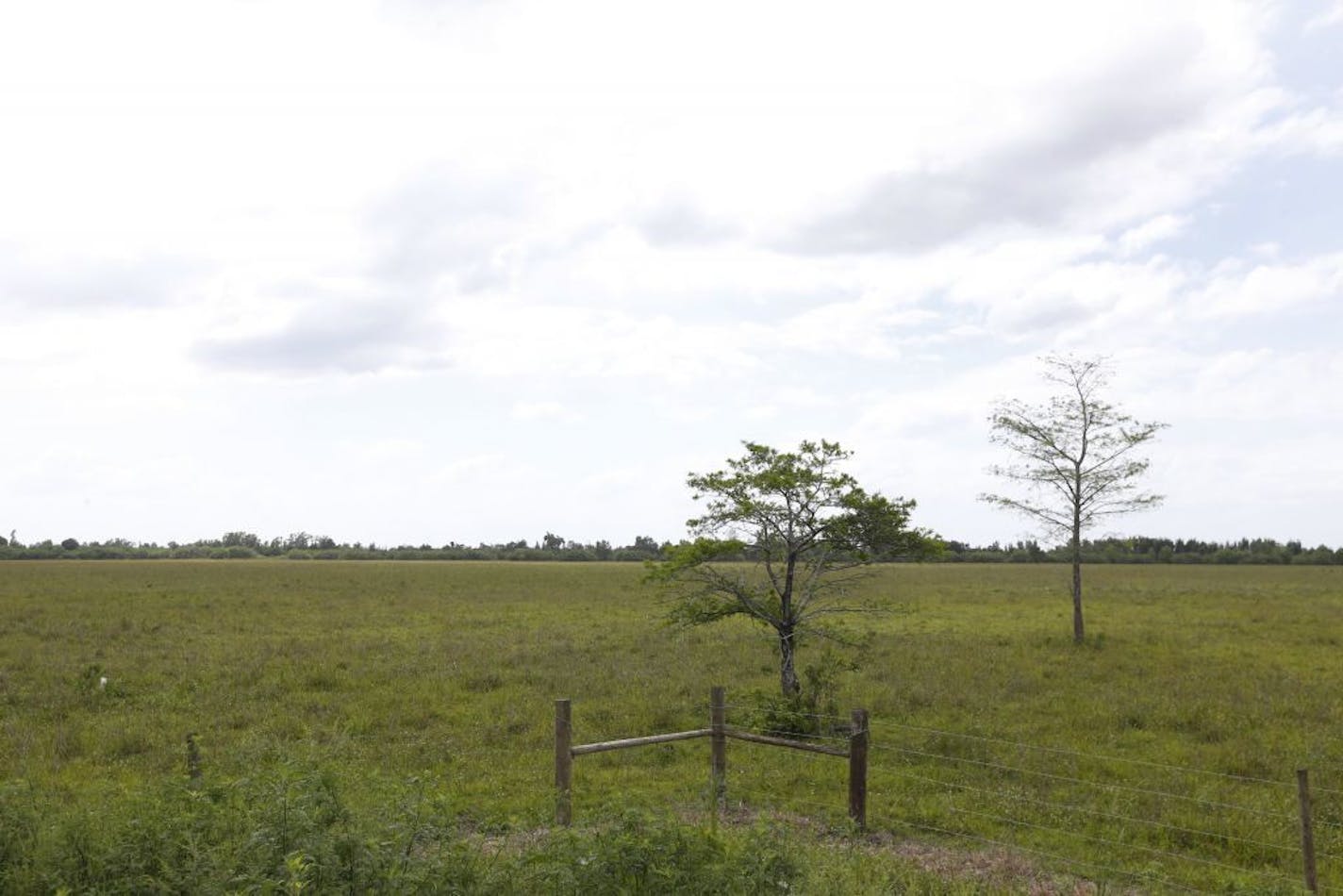 In this, Friday, May 26, 2017 photo, land is shown where developers are proposing American Dream Miami, a massive 200-acre project on the edge of the Everglades in bustling South Florida that would dwarf any other shopping mecca in North America. Miami-Dade County officials could vote this fall to approve it.