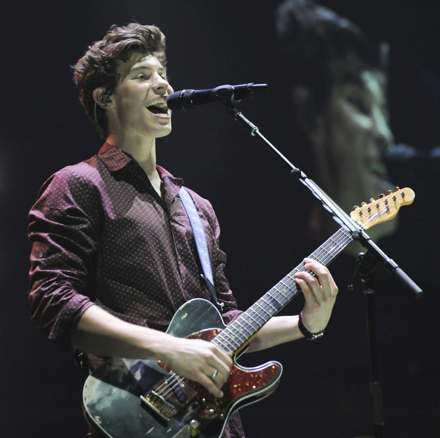 Teen star Shawn Mendes brings 'hunky, guitarstrumming sensitivity' to