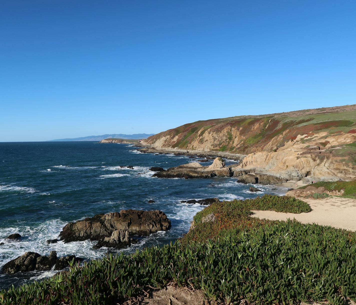 Bodega Head rims the Pacific Ocean, making it a popular spot for whale watching near Bodega Bay.