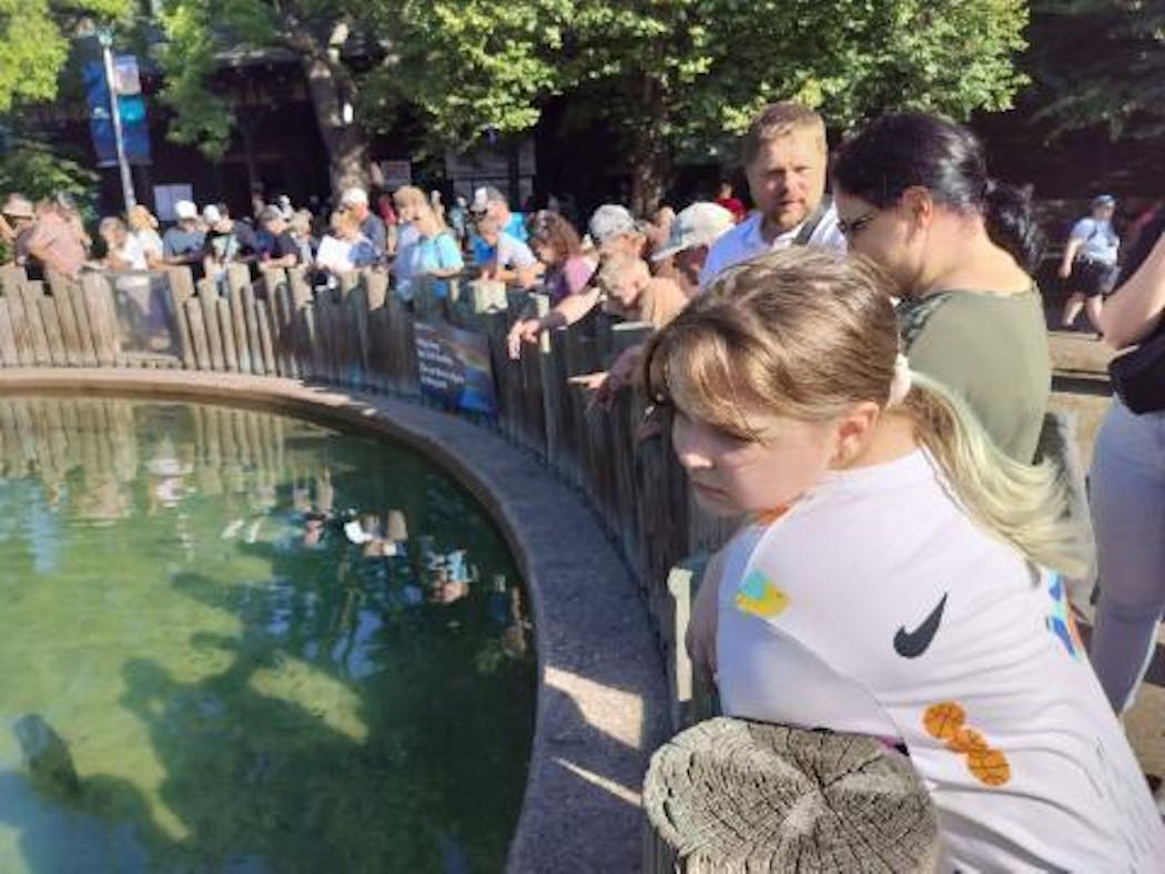 Dasha Alieksieienko looked into the DNR fish pond at the Minnesota State Fair, along with her parents, Roman and Jane. They loved fishing in their native Ukraine before the Russian invasion.