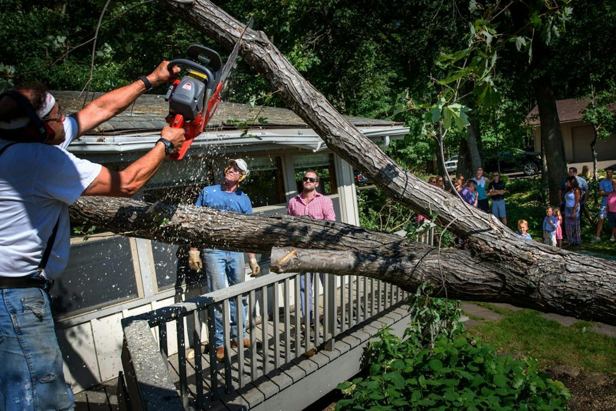 The tree removal service showed up minutes before the wedding rehearsal was to start.