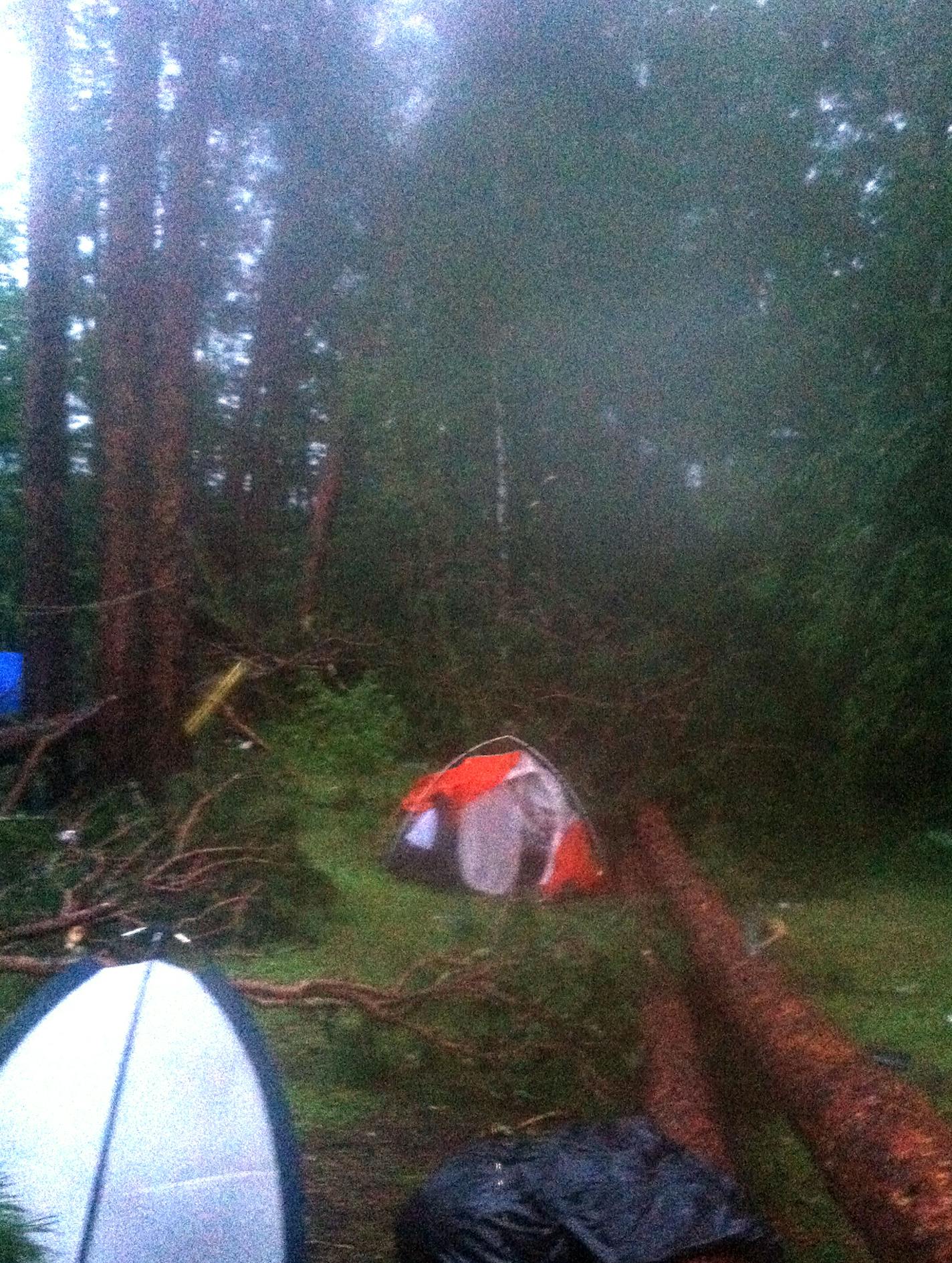 A group of 17 campers on Lady Boot Bay on Lac La Croix survived an overnight storm that toppled trees on their tents and injured two campers who had to be evacuated by rescue crews. .... extra: The photos go with storm072314 377564