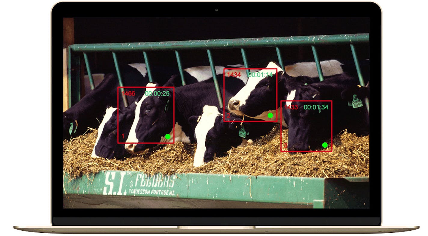 Cargill Inc. has invested in a software developed by Dublin-based Caintus that that has developed facial recognition software for cattle that helps farmers improve their care and production.