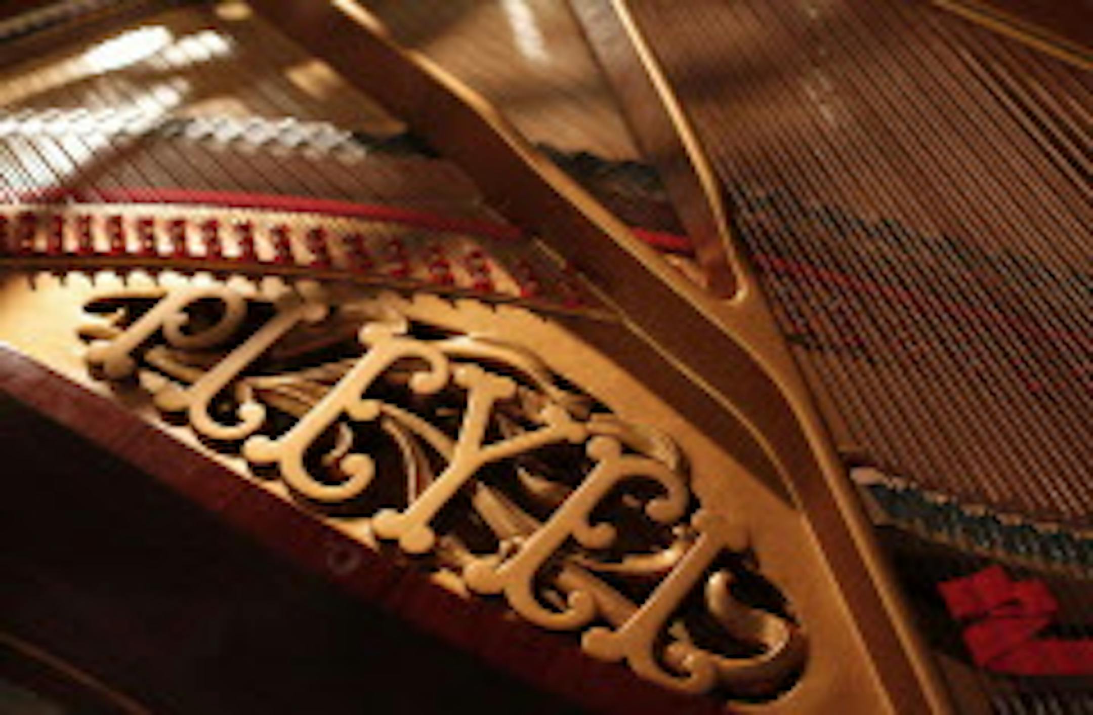 A Pleyel grand piano requires between 500 and 1,500 hours to construct and sells for about $135,000. Pleyel & Co., founded by French composer Ignace Pleyel in 1807, is shutting its doors this month.