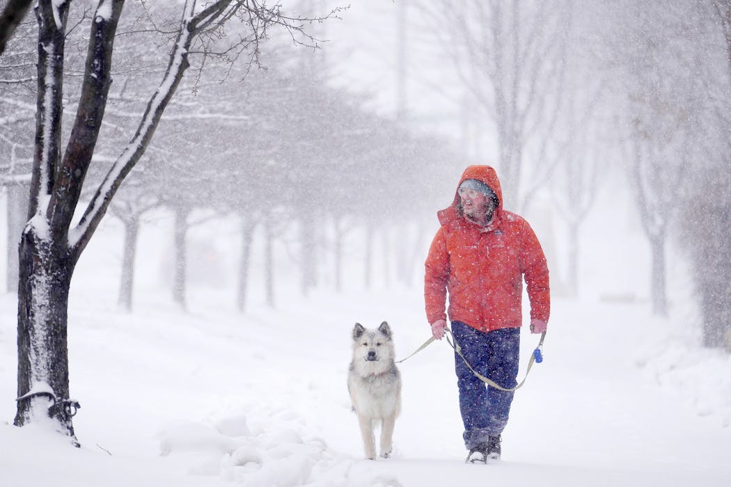 Dan Lawonn walks his dog Ludo, a one-year-old chow and husky mix, amid heavy snowfall on Tuesday in northeast Minneapolis.