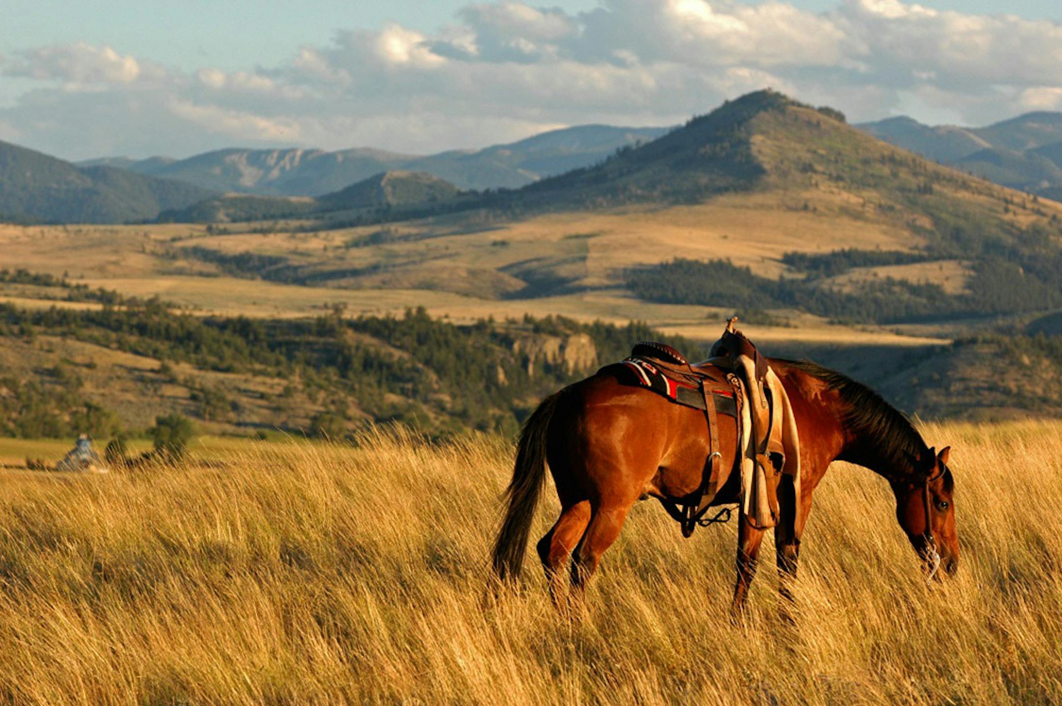 The West beckons, whether for riding, fishing or sightseeing.