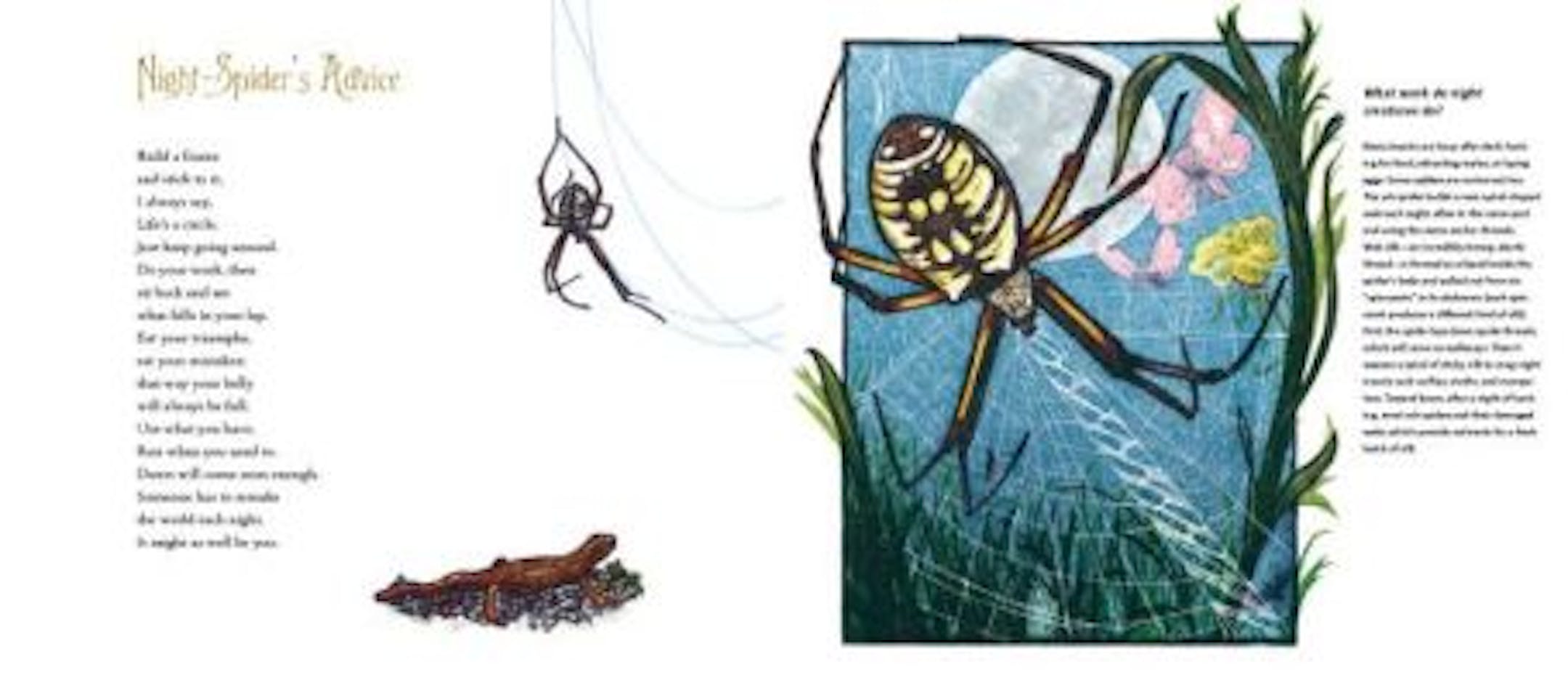 How does a children's picture book happen? In the case of 'Dark Emperor,' quickly at first, then very slowly.