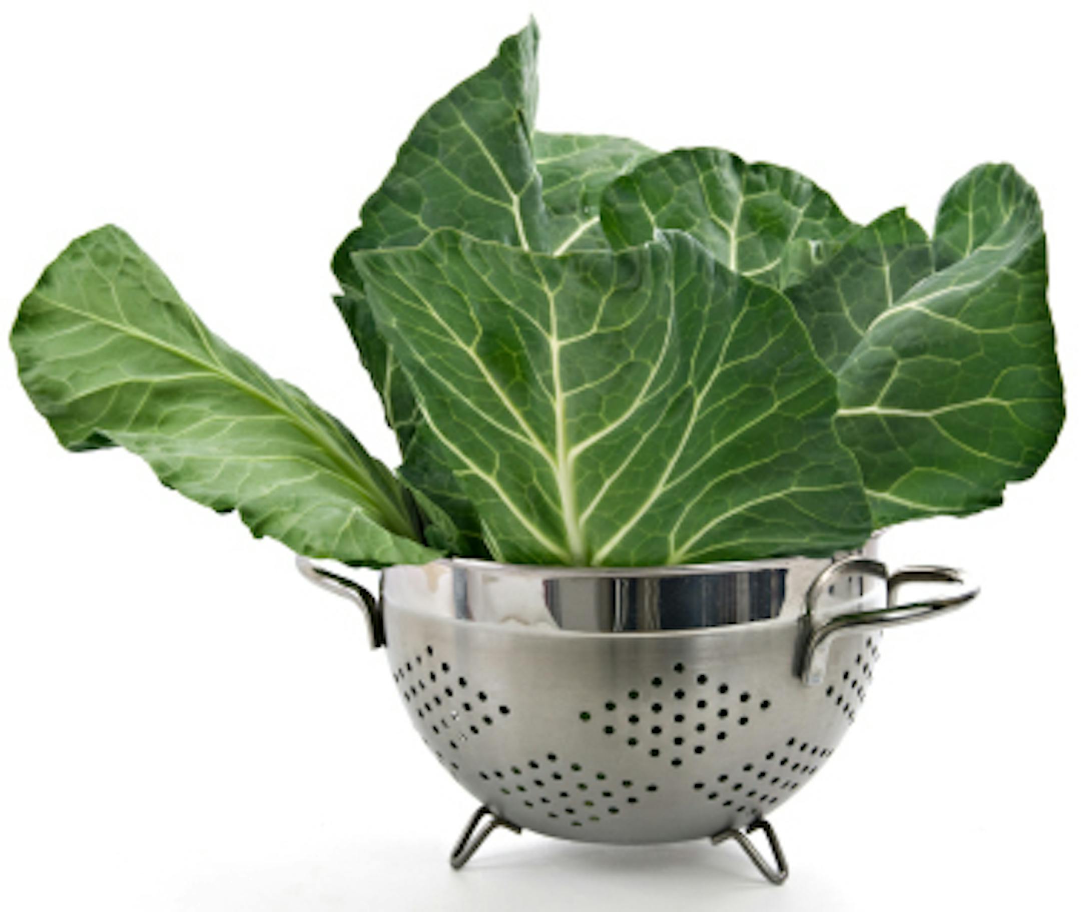 Organic Green Collards in a Collnder