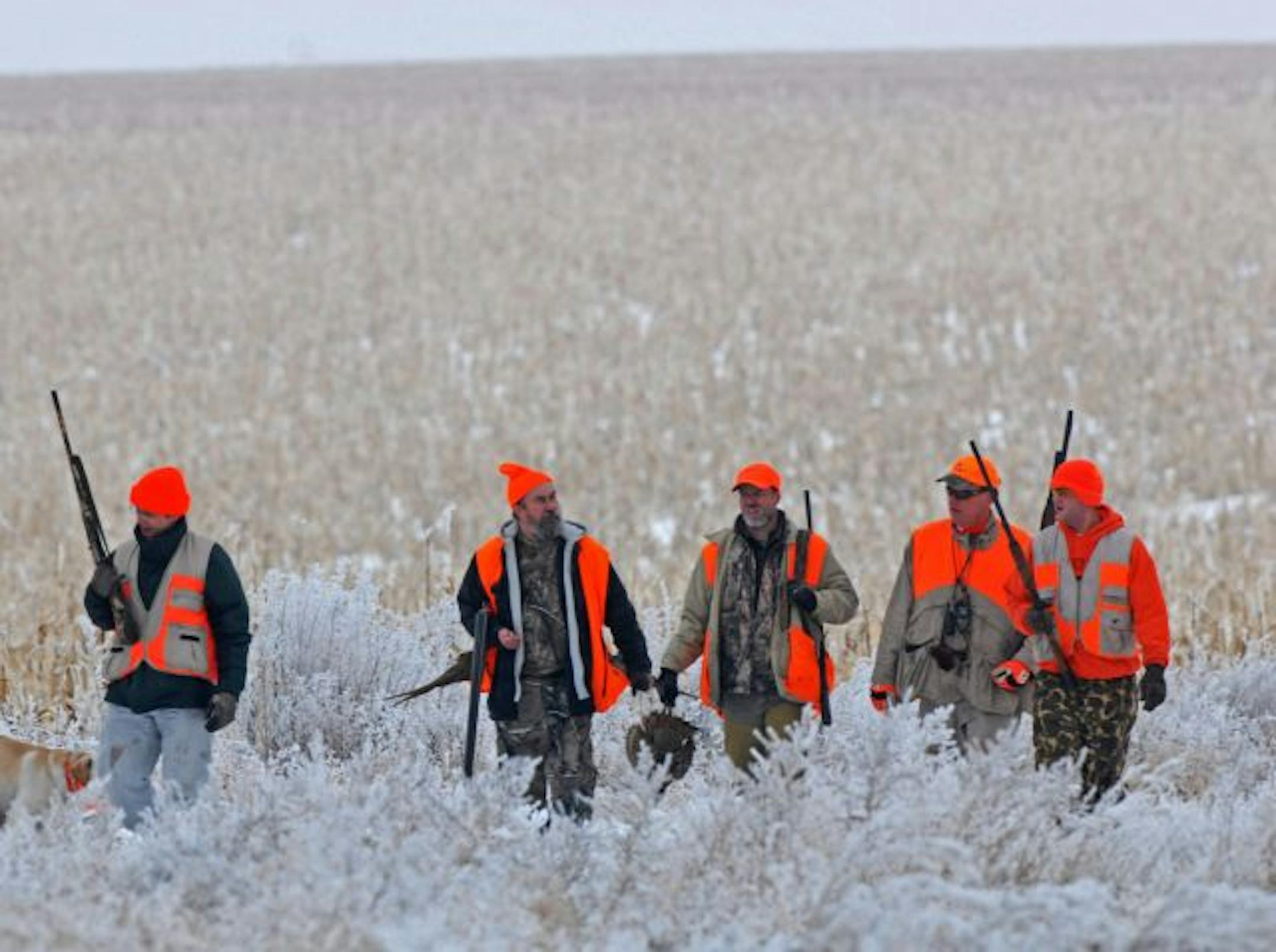 Land owner Steve Halverson, second from right, with four of the more than 20 wingshooters who last week paid $500 apiece to hunt on land Halverson donated to raise money to memorialize the late outdoors broadcaster Tony Dean of Pierre, S.D. About $21,000 was raised in an effort to fund a new, large public wildlife and hunting area in South Dakota.