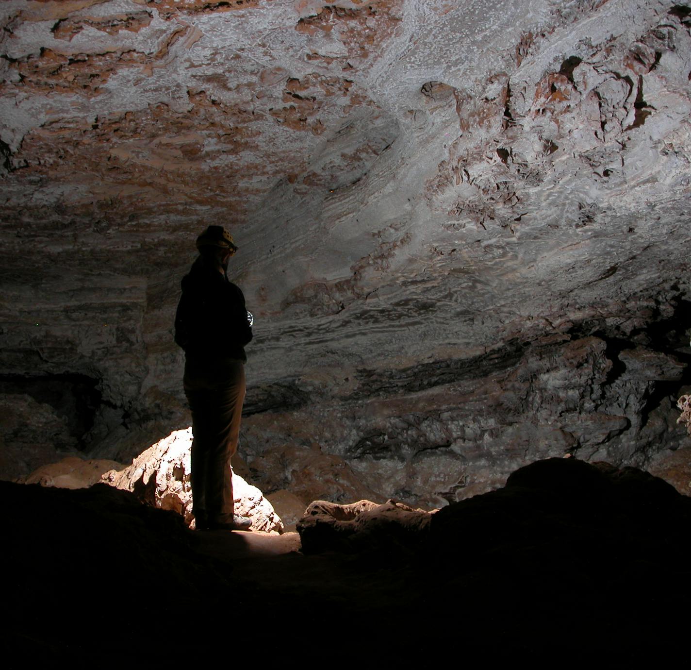 Wind Cave National Park. Photo by the National Park Service