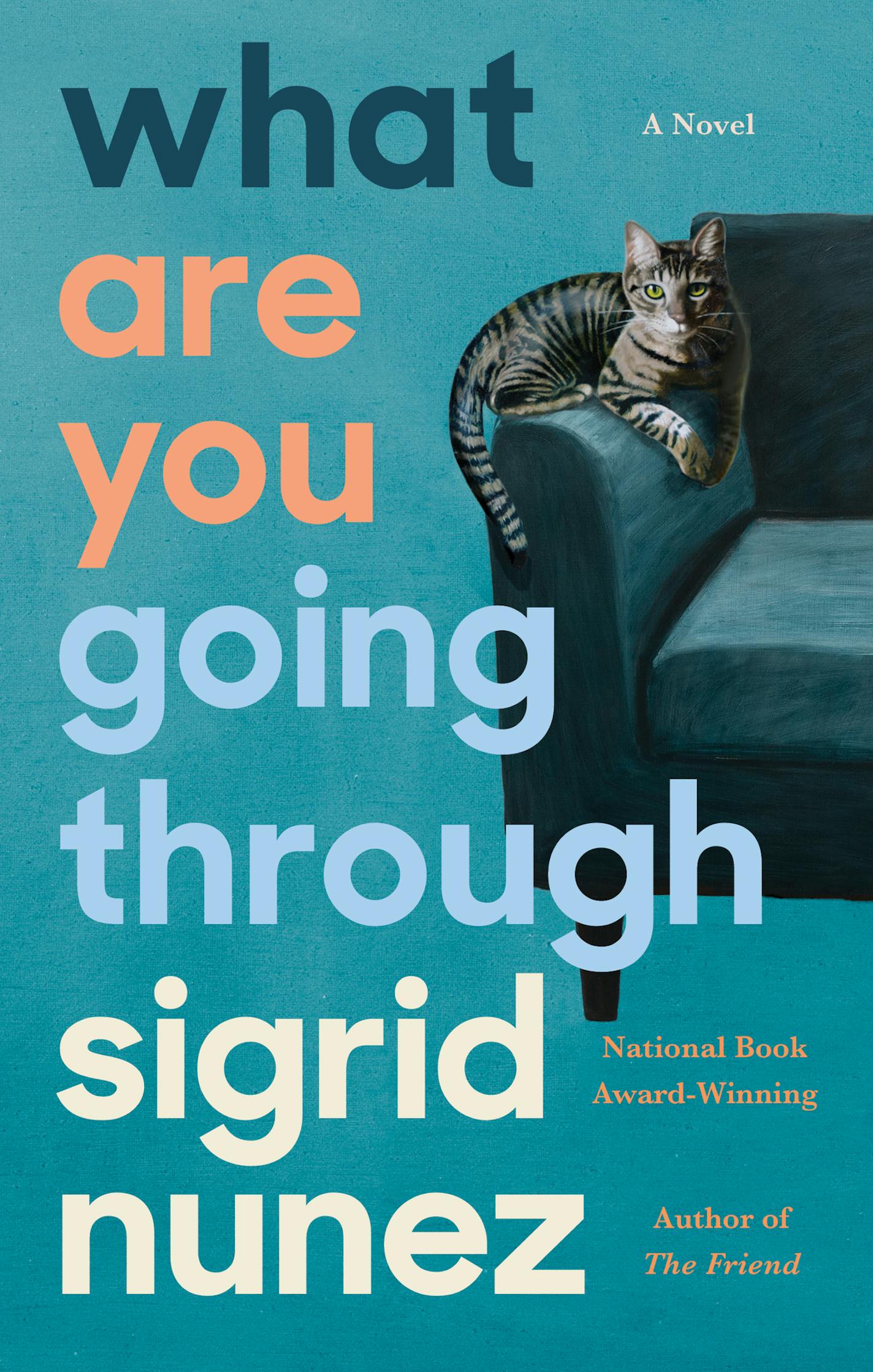 What Are You Going Through by Sigrid Nunez