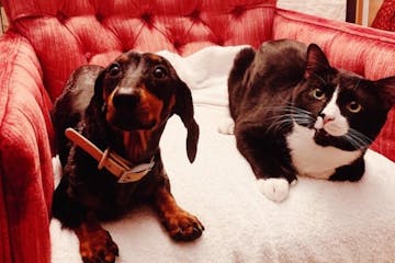 Felix (right) with his friend, Sprout the dog.