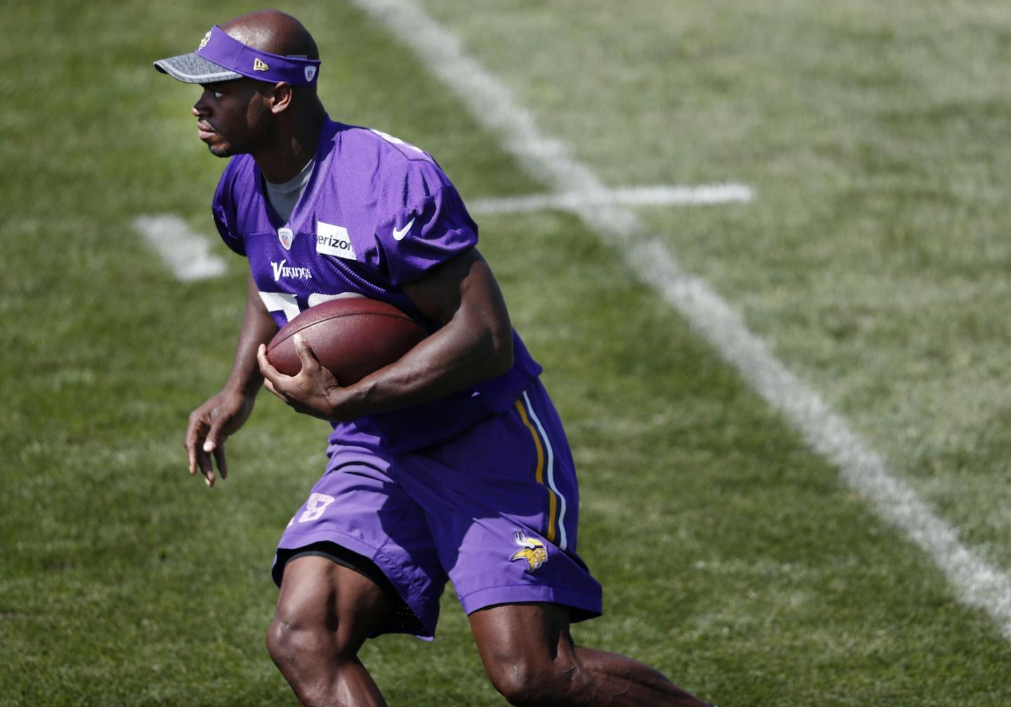 Vikings running back Adrian Peterson