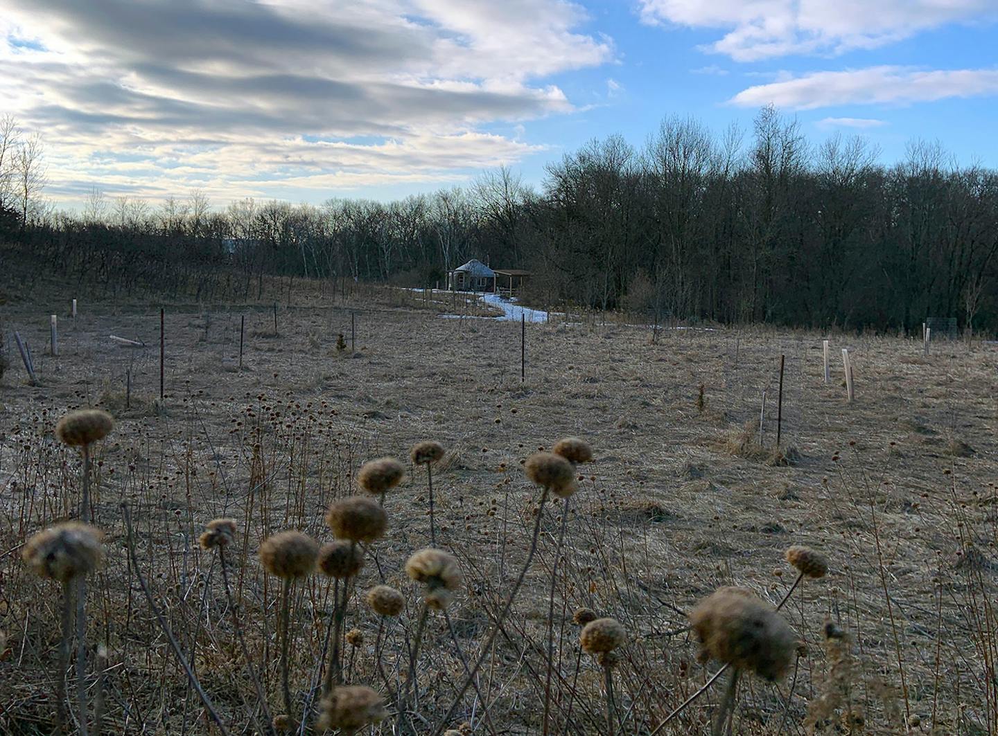 Embracing the peace found in the prairie and bluffland of Afton State Park.