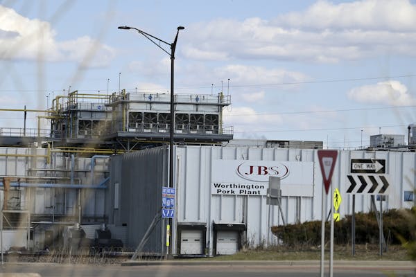A small crew at the JBS Worthington Pork Plant began to euthanize pigs Wednesday without processing them into food products. The move is designed to h