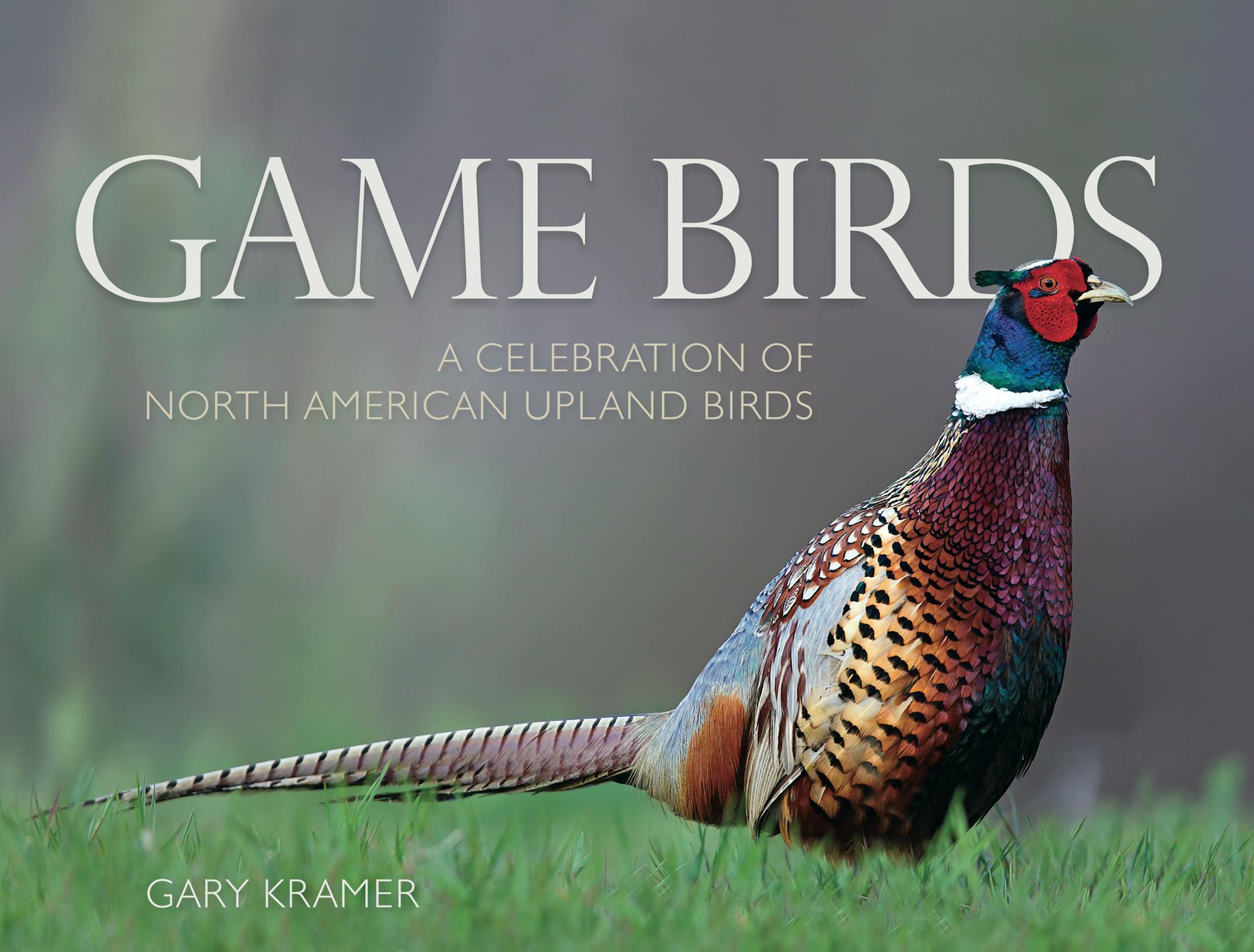 The 12-inch-by-19¼-inch hardcover book has 256 pages, 384 color photos and 26 range maps. Note: To purchase "Game Birds," order from www.garykramer.net or call Kramer's office: 530-934-3873