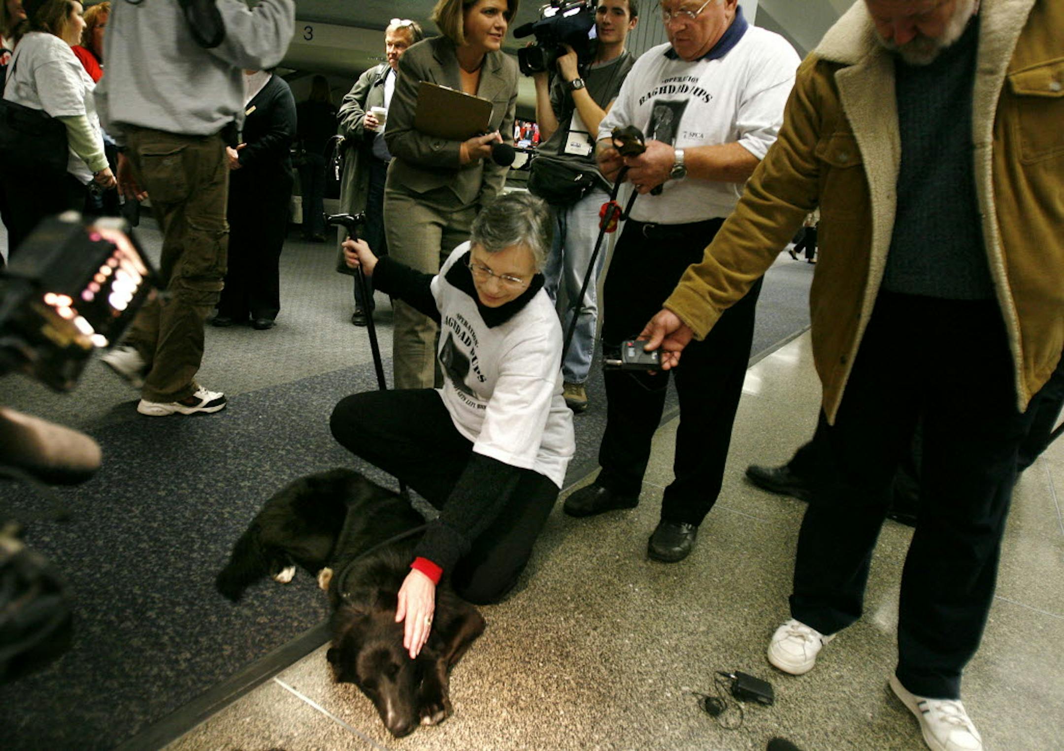 Pat Beberg greets Ratchet, a dog rescued in Iraq by her daughter, Army Spc. Gwen Beberg, at the Minneapolis/St. Paul airport on Wednesday.